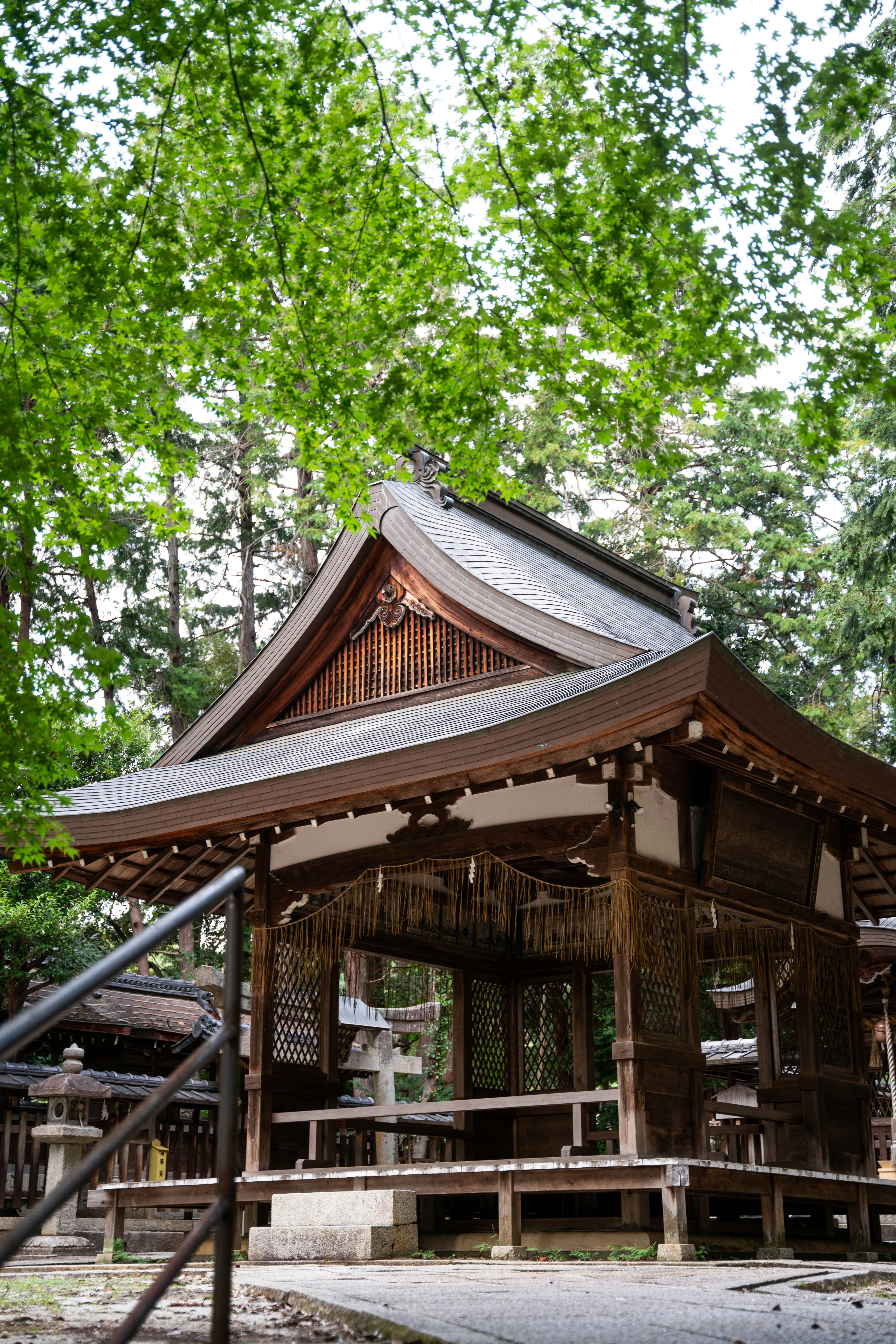 Photo by davidemrich