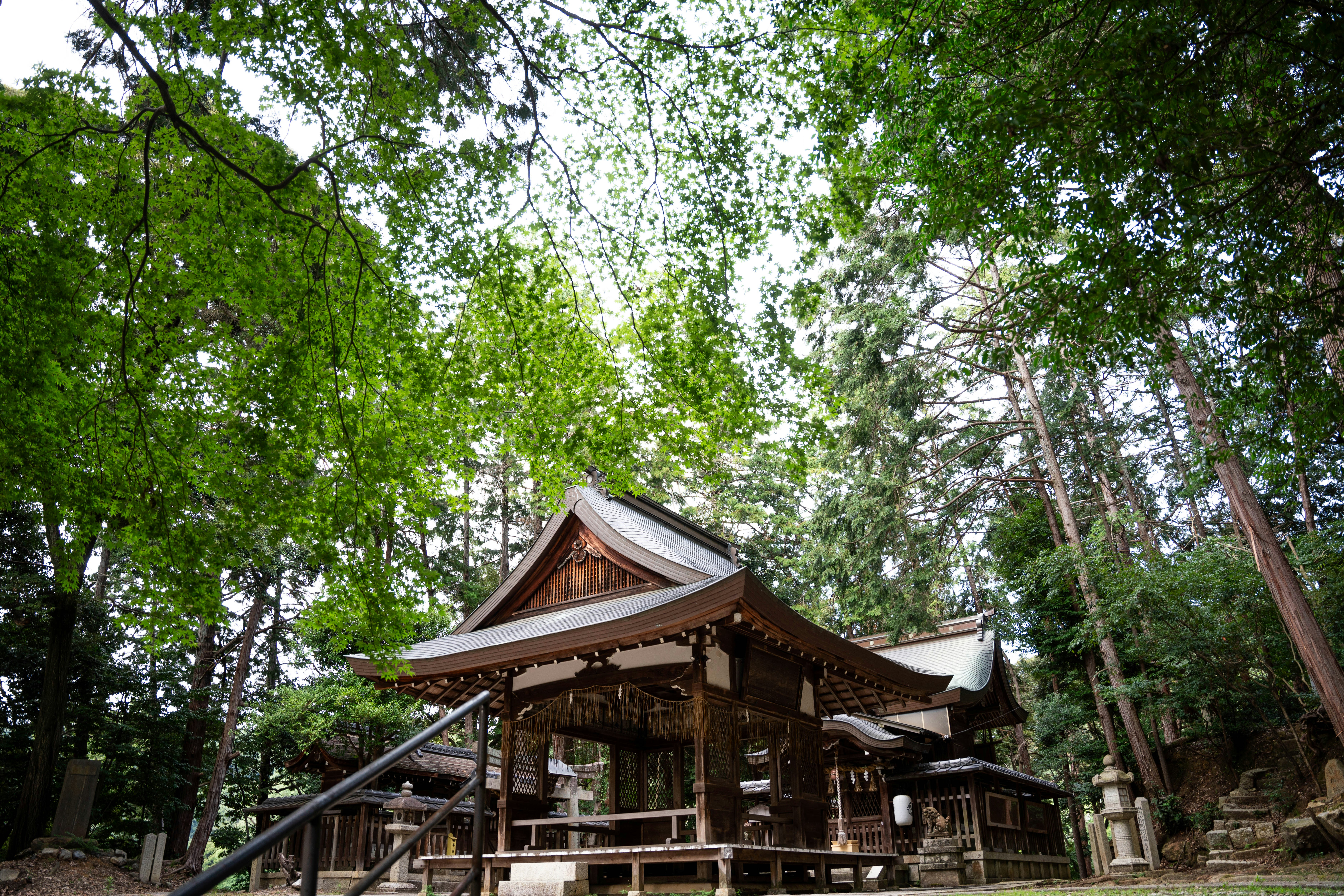 Photo by davidemrich