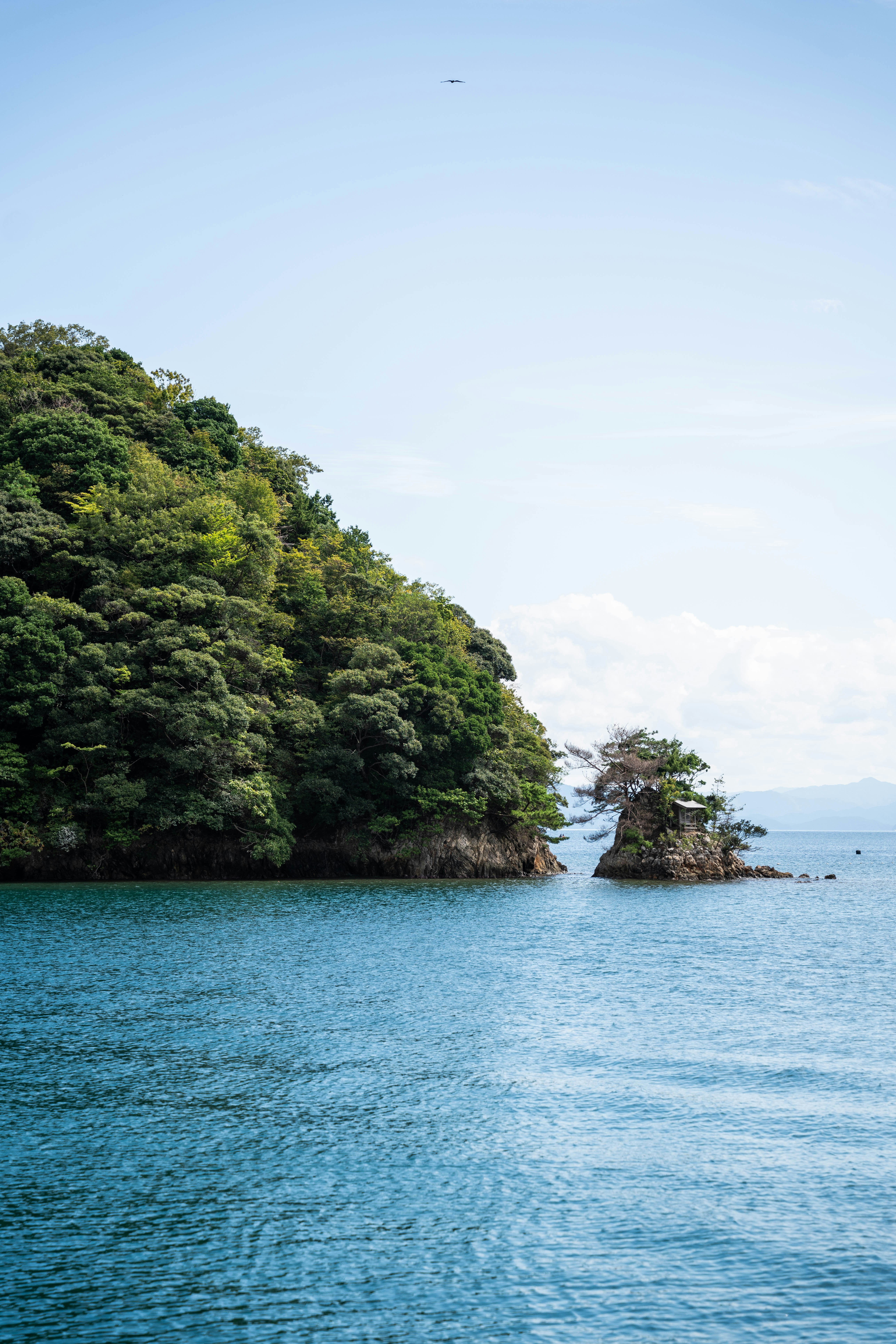 Photo by davidemrich