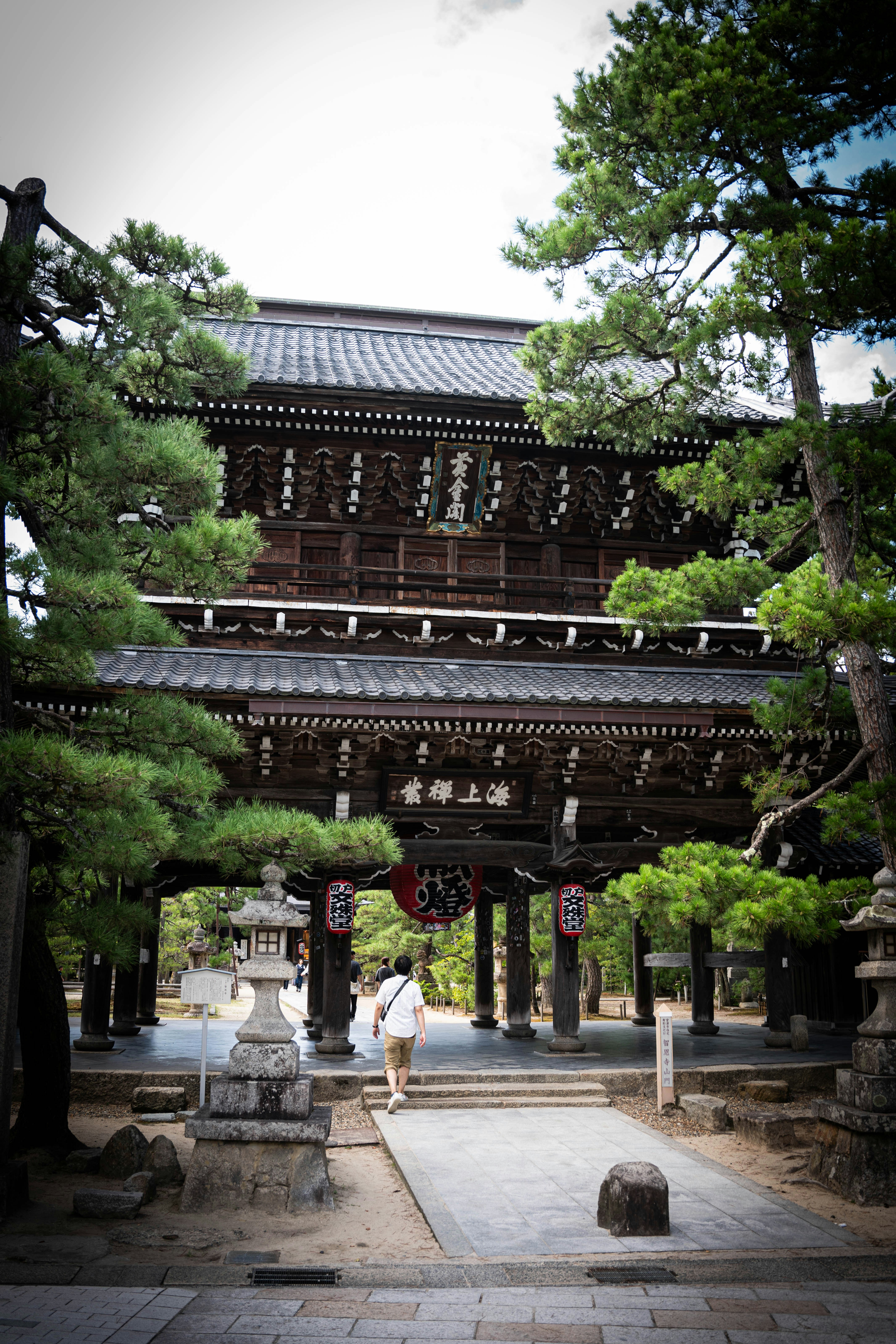 Photo by davidemrich