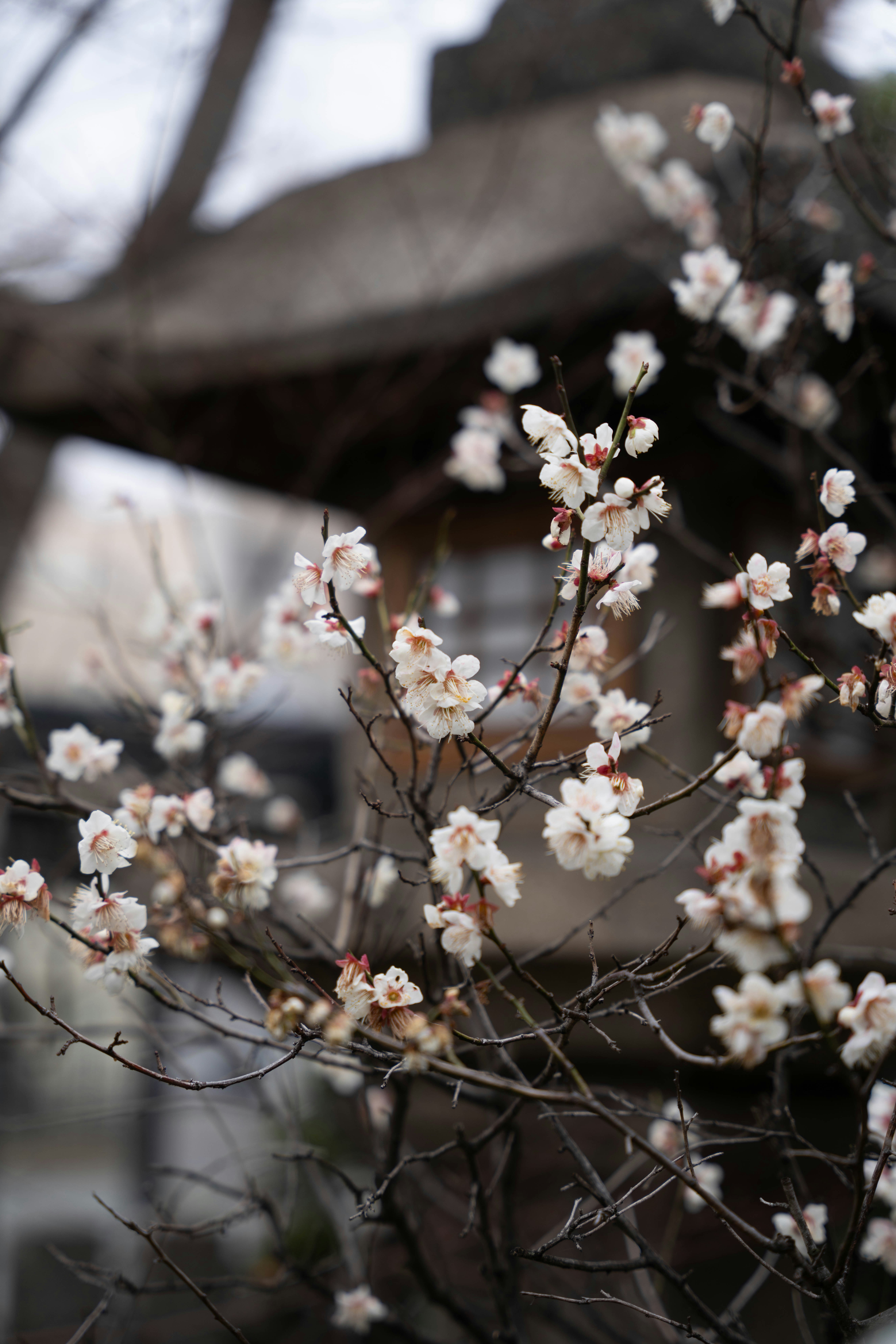 Photo by davidemrich