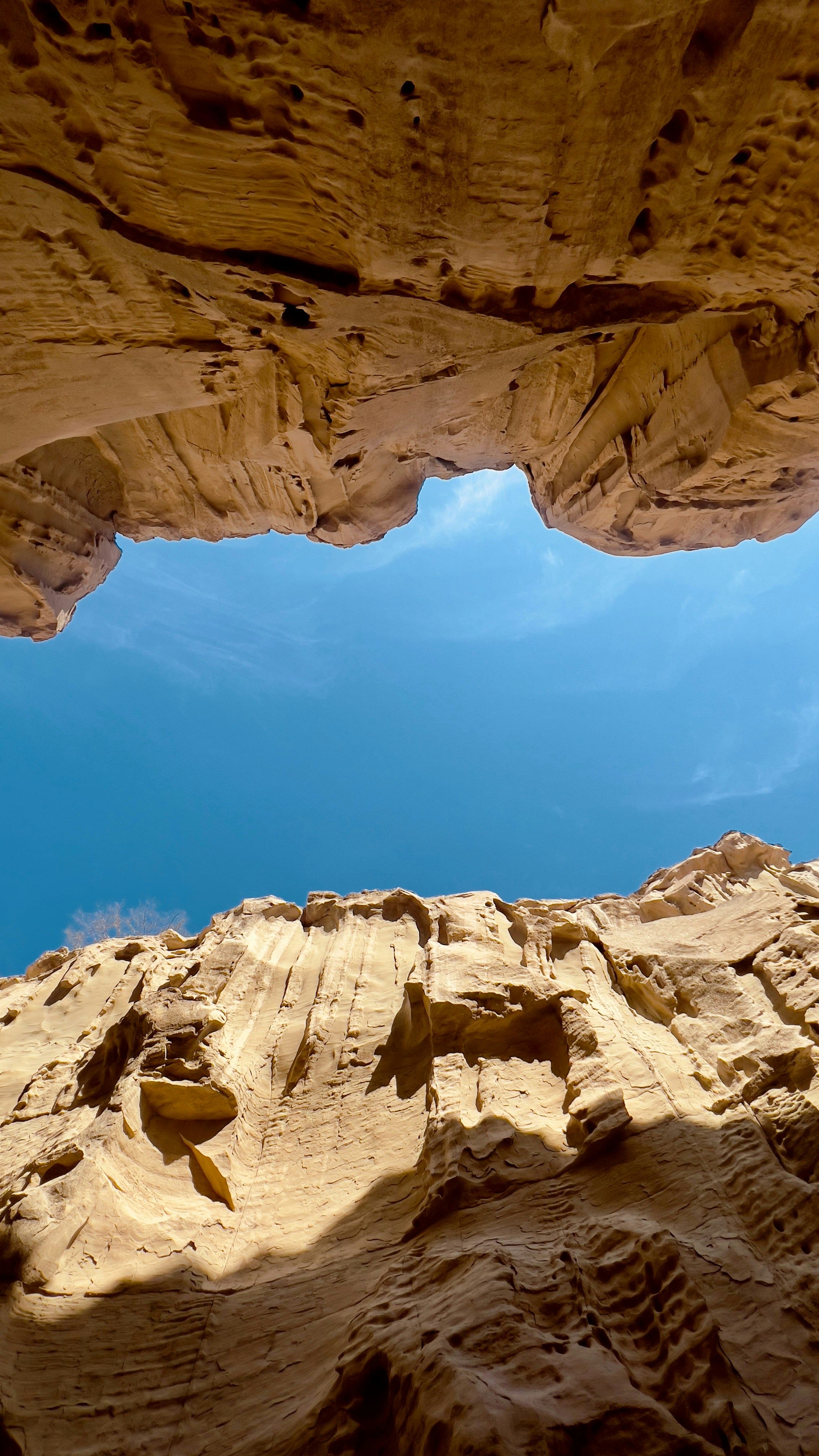 Photo by matinkaviani