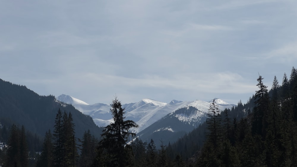 a view of a mountain range with trees in the foreground