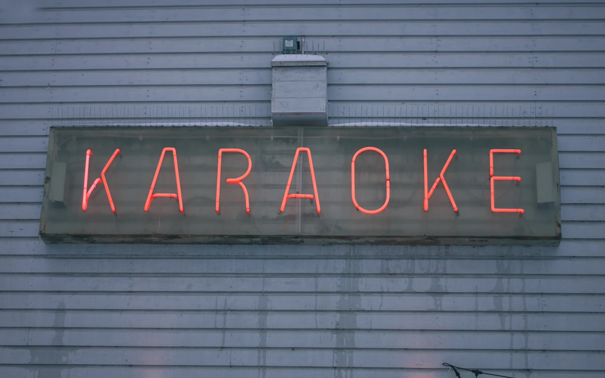 Karaoke Seti Kiralama — Ekran, 2 Mikrofon, 40.000 Şarkı fotoğrafı 3