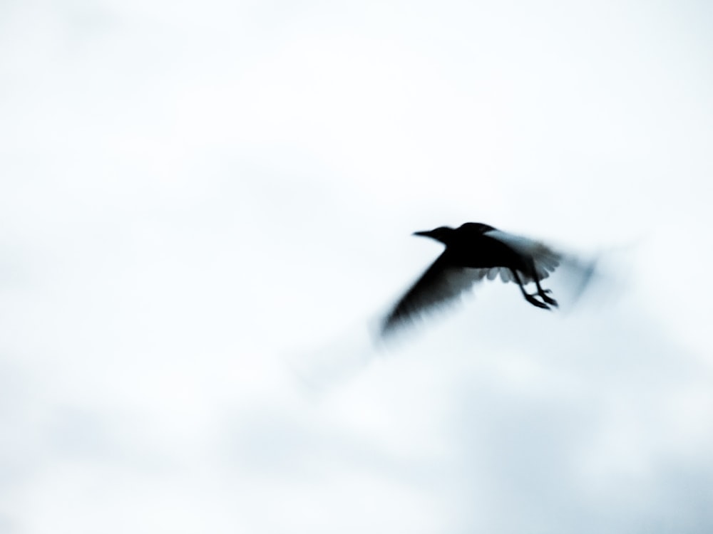 a black bird flying through a cloudy sky
