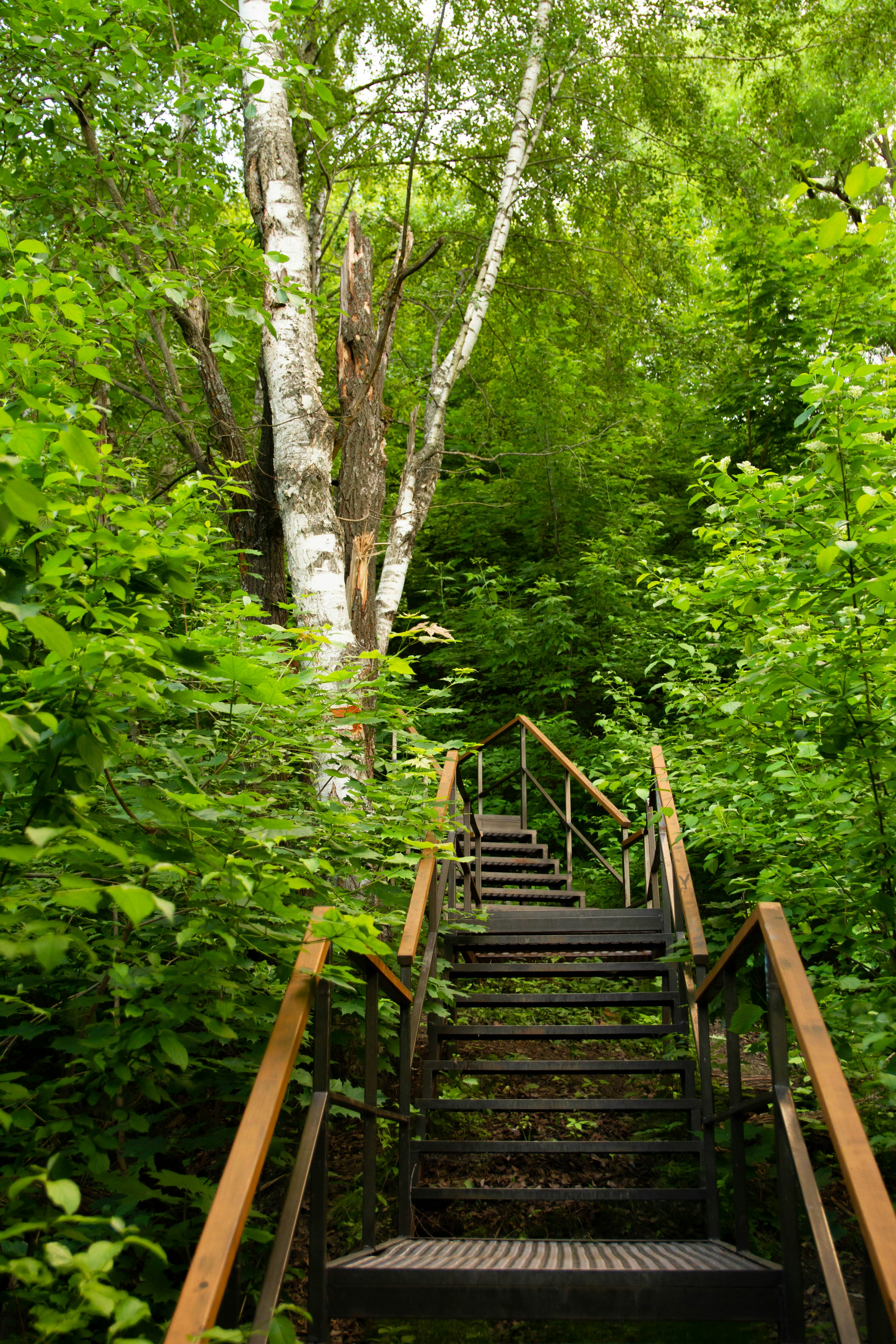 Photo by maksimzaviktorin