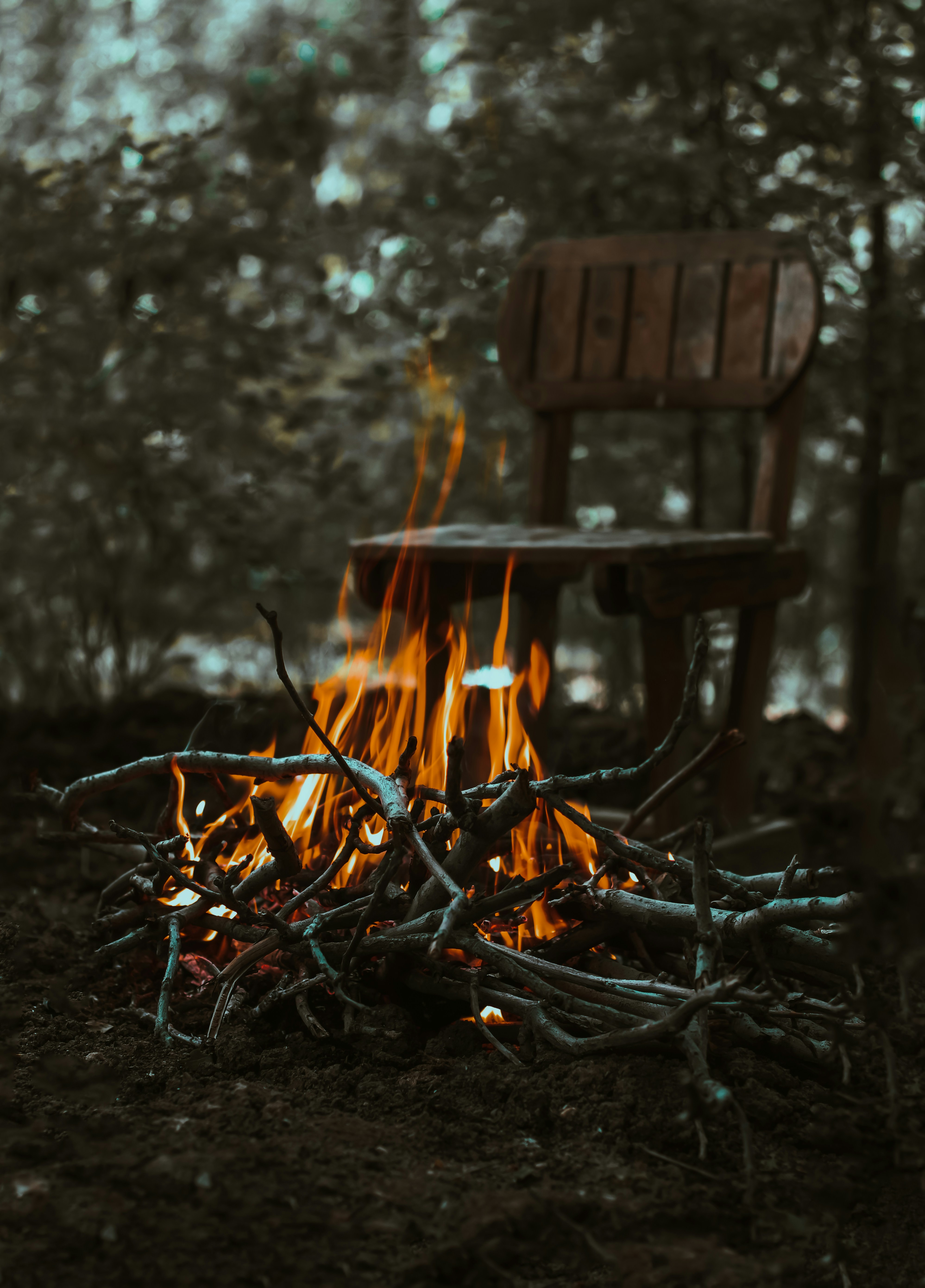 a chair sitting next to a fire in a forest