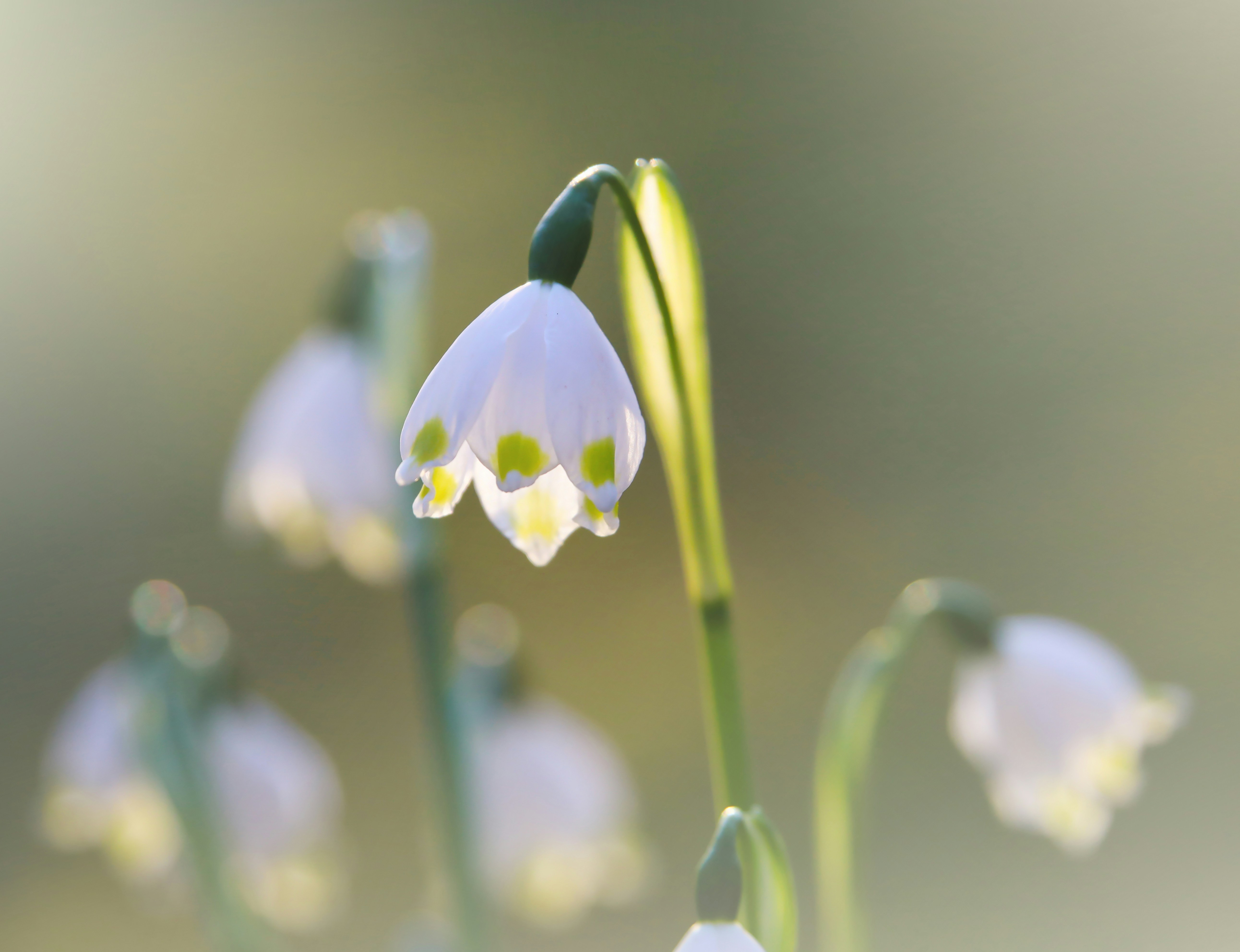 Photo by magictravel