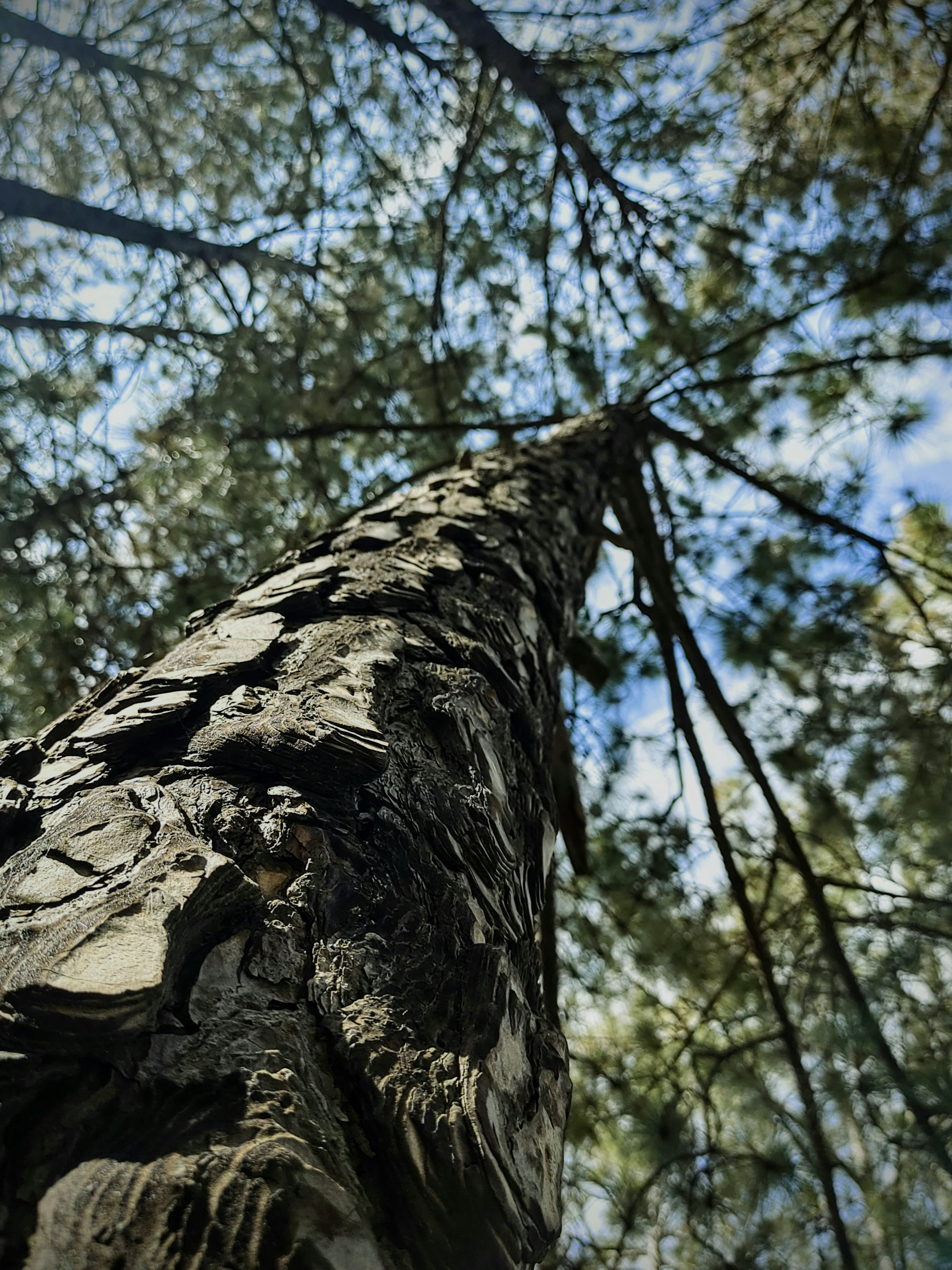 Photo by sudhanshu221b