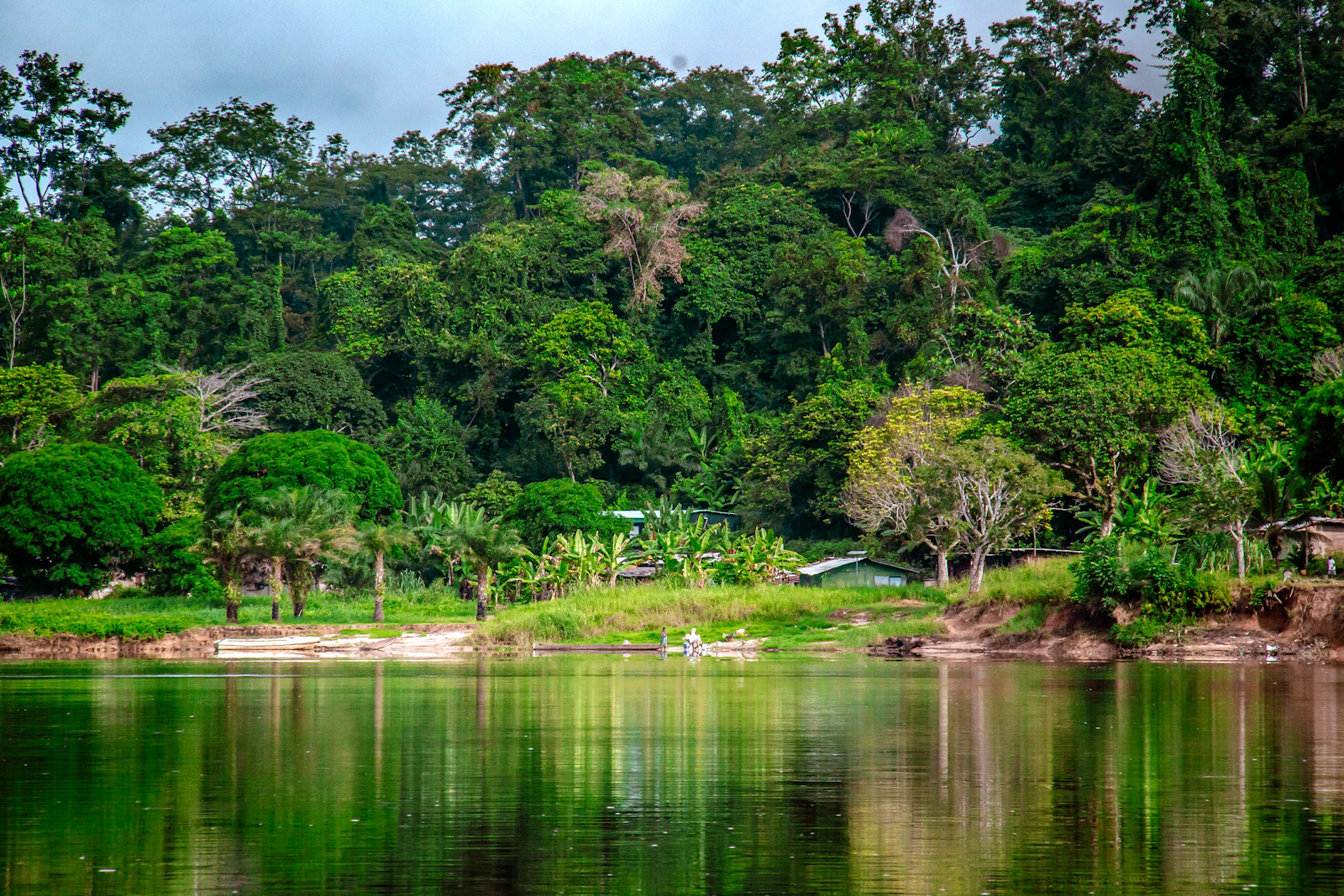 Forested waterway at Lambaréné, Gabon