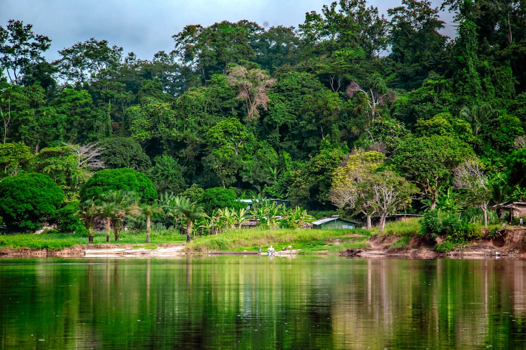 a body of water surrounded by lush green trees,