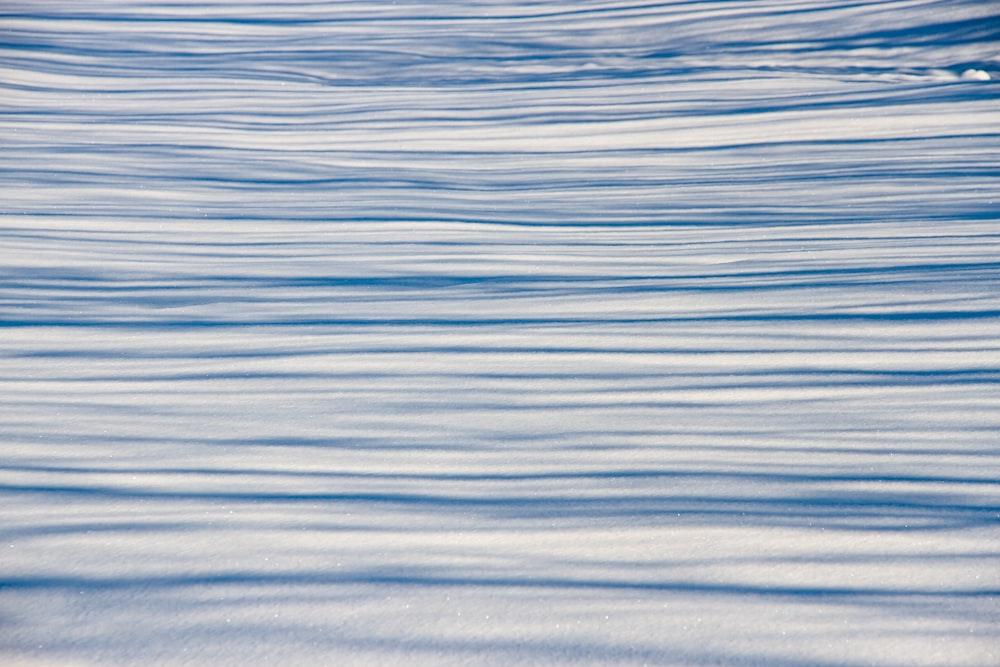 eine Person, die auf Skiern auf einer verschneiten Oberfläche fährt