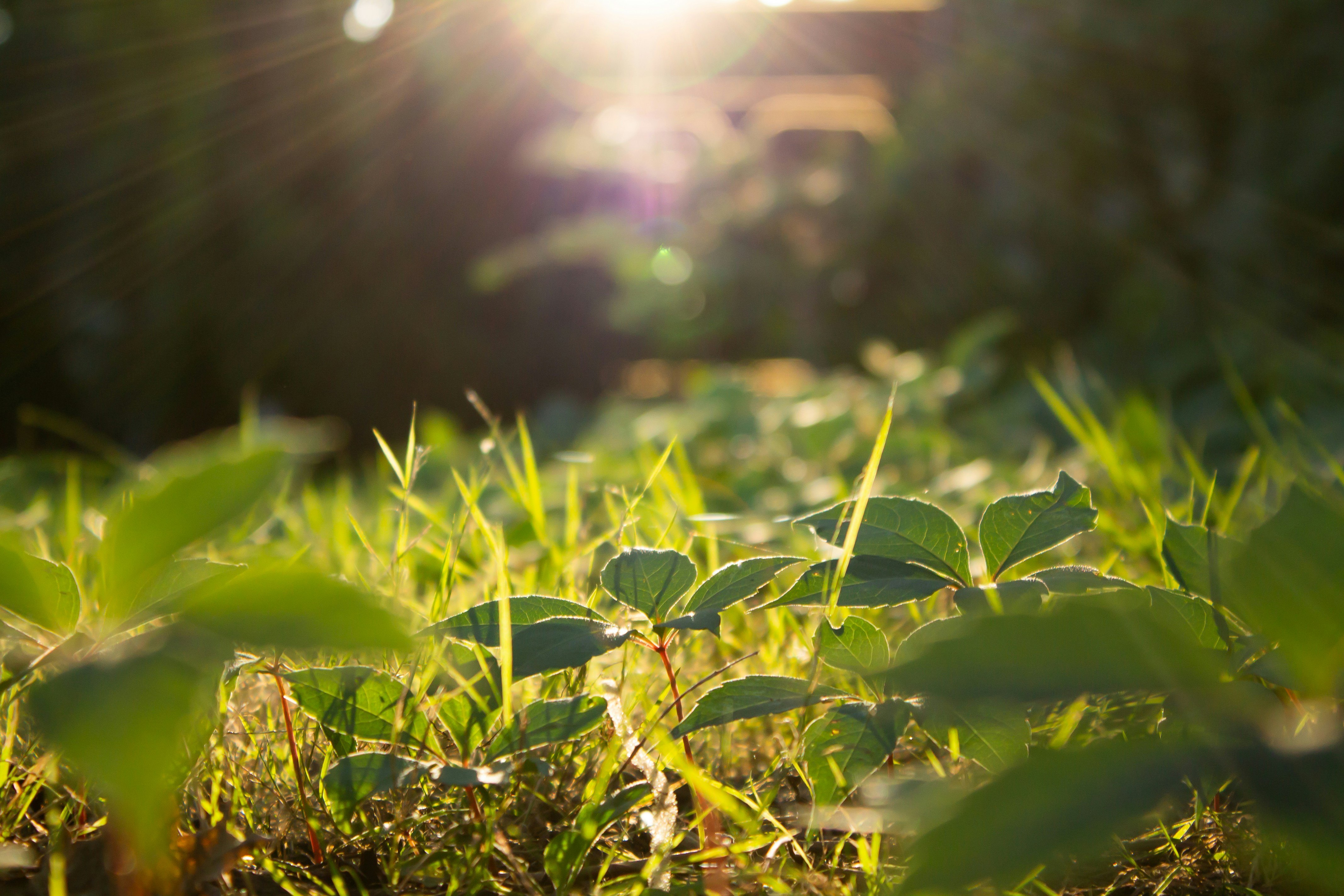 Photo by aeetheerium