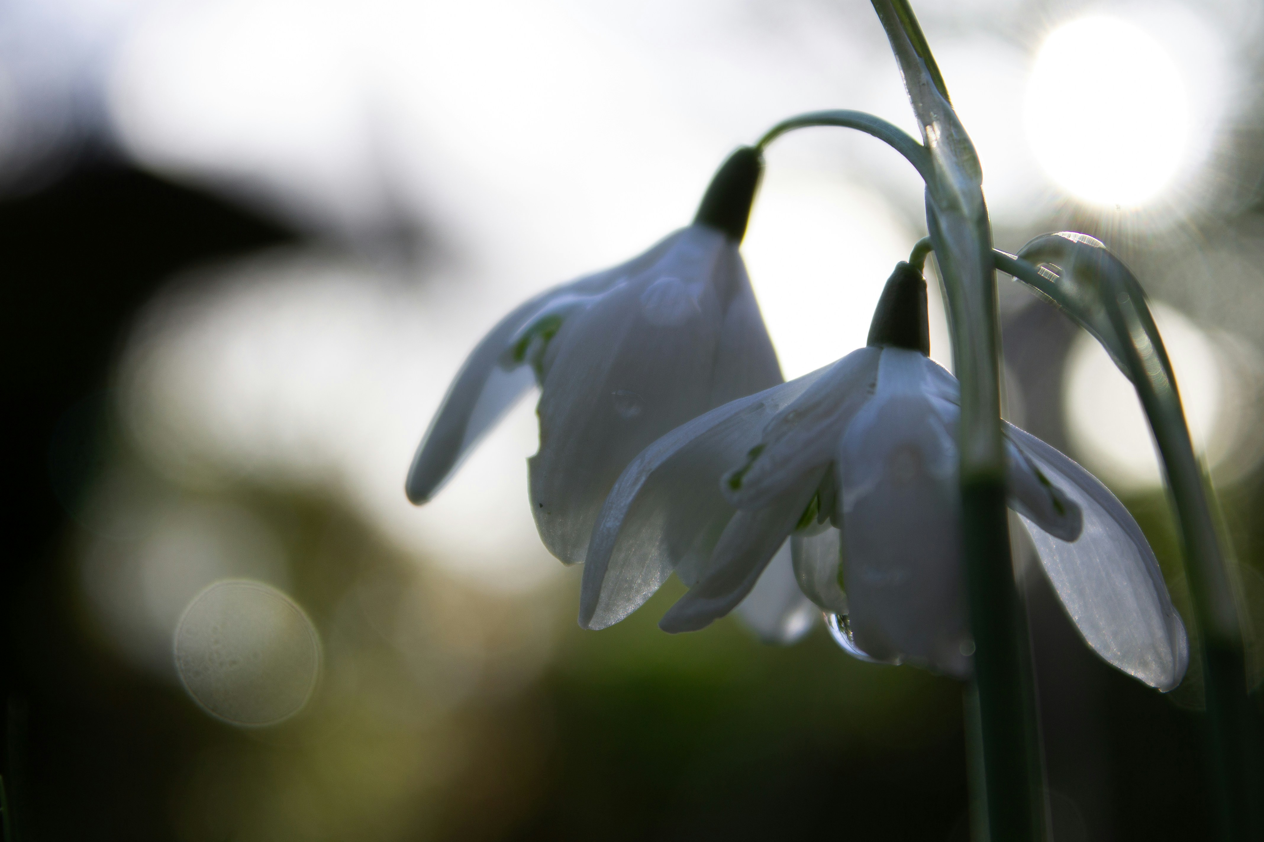 Photo by aeetheerium