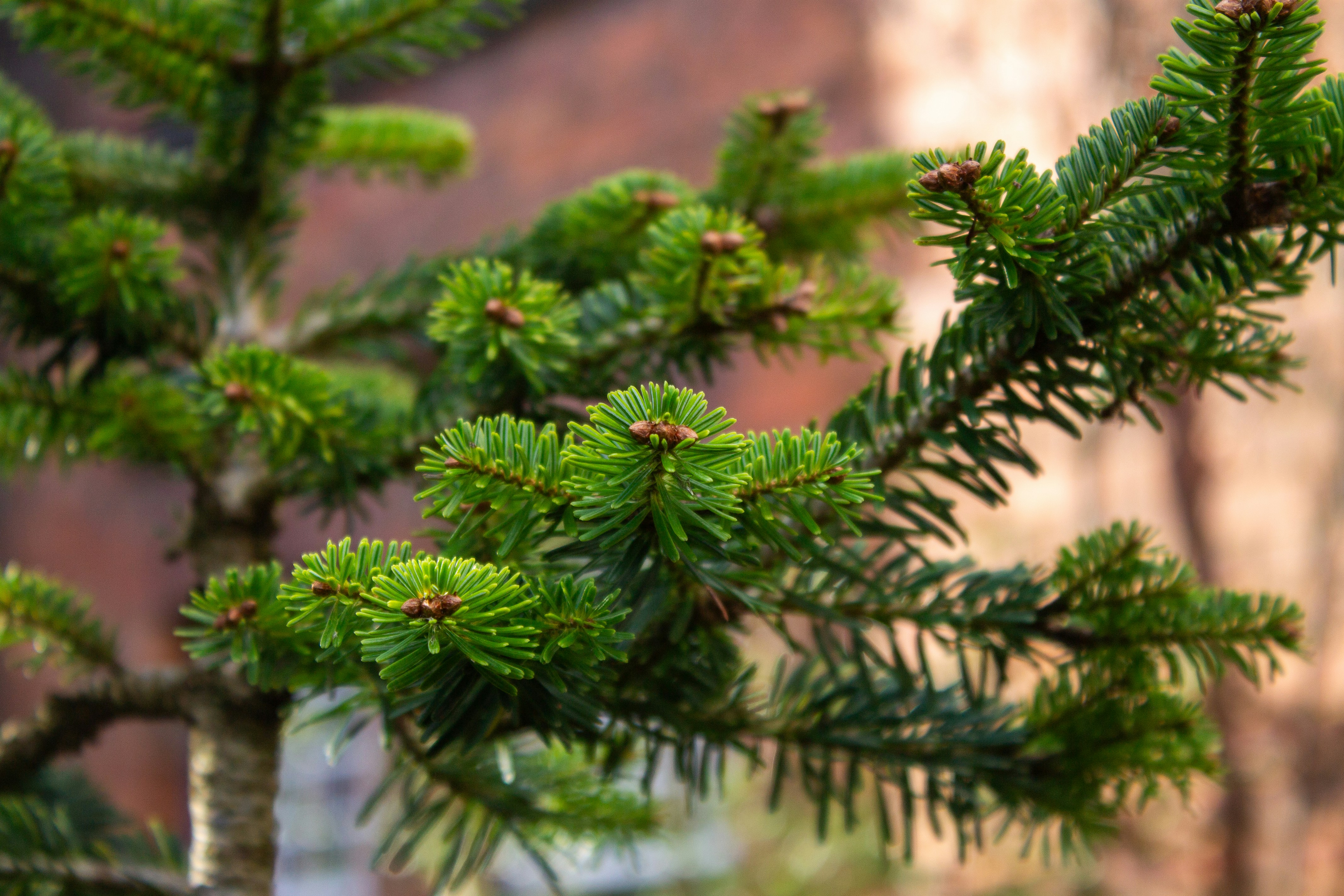 Photo by aeetheerium