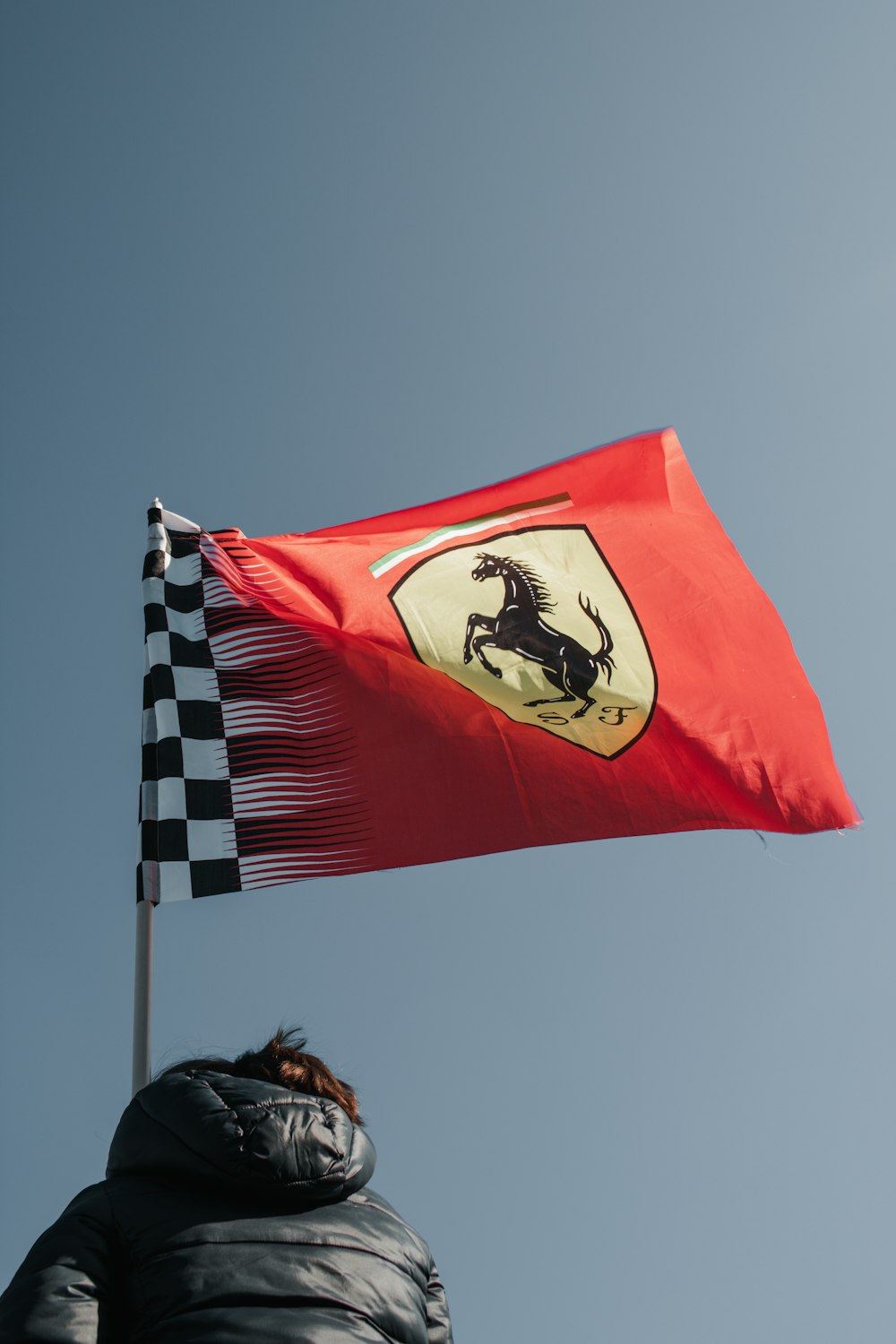 una bandera roja con un caballo blanco y negro