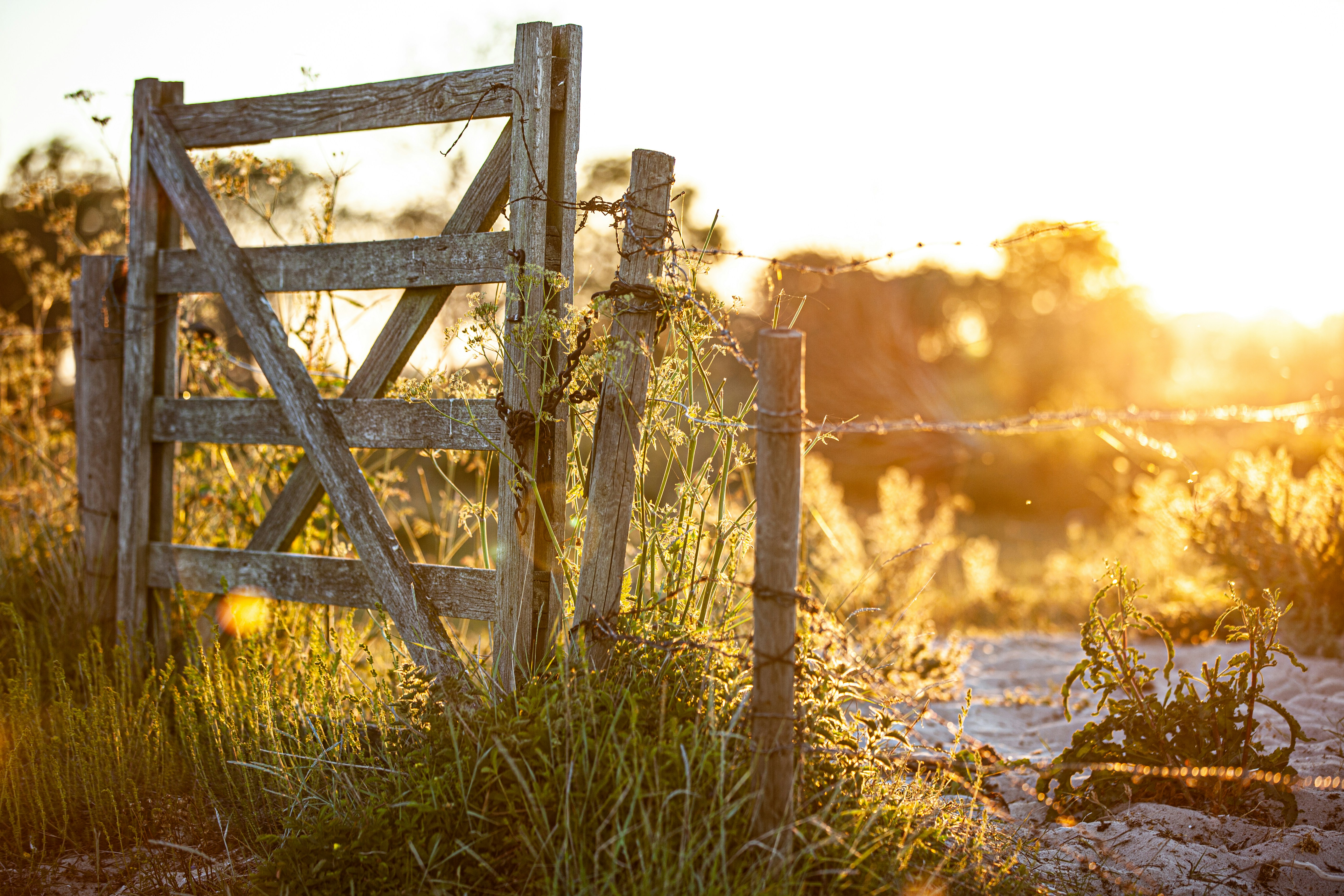 a wooden gate sitting next to a lush green field