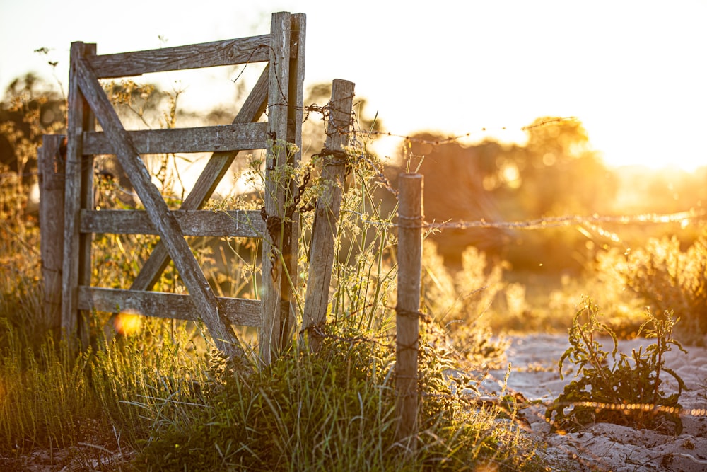 a wooden gate sitting next to a lush green field