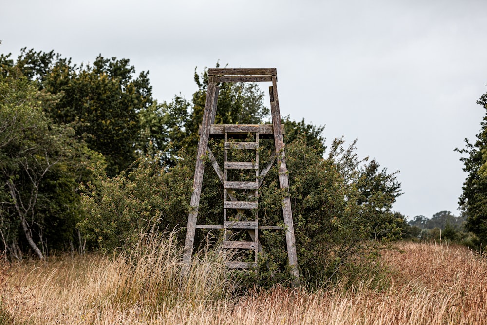 an old wooden ladder in the middle of a field