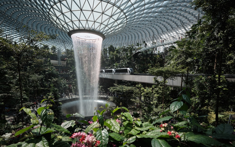 a waterfall in the middle of a tropical garden