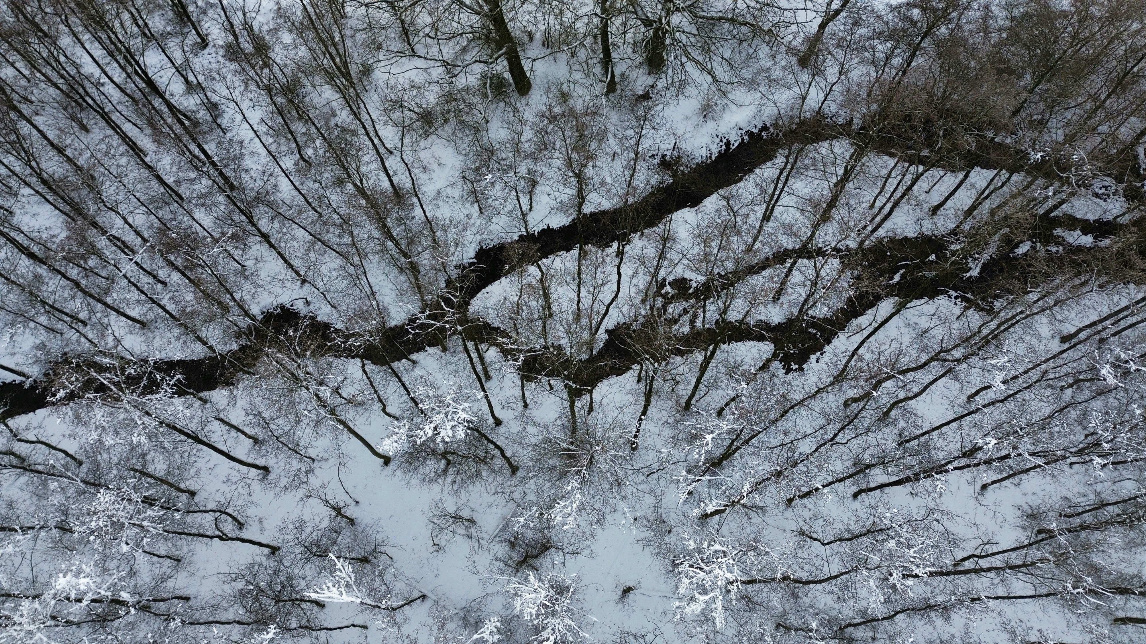 Photo by hawkins2023