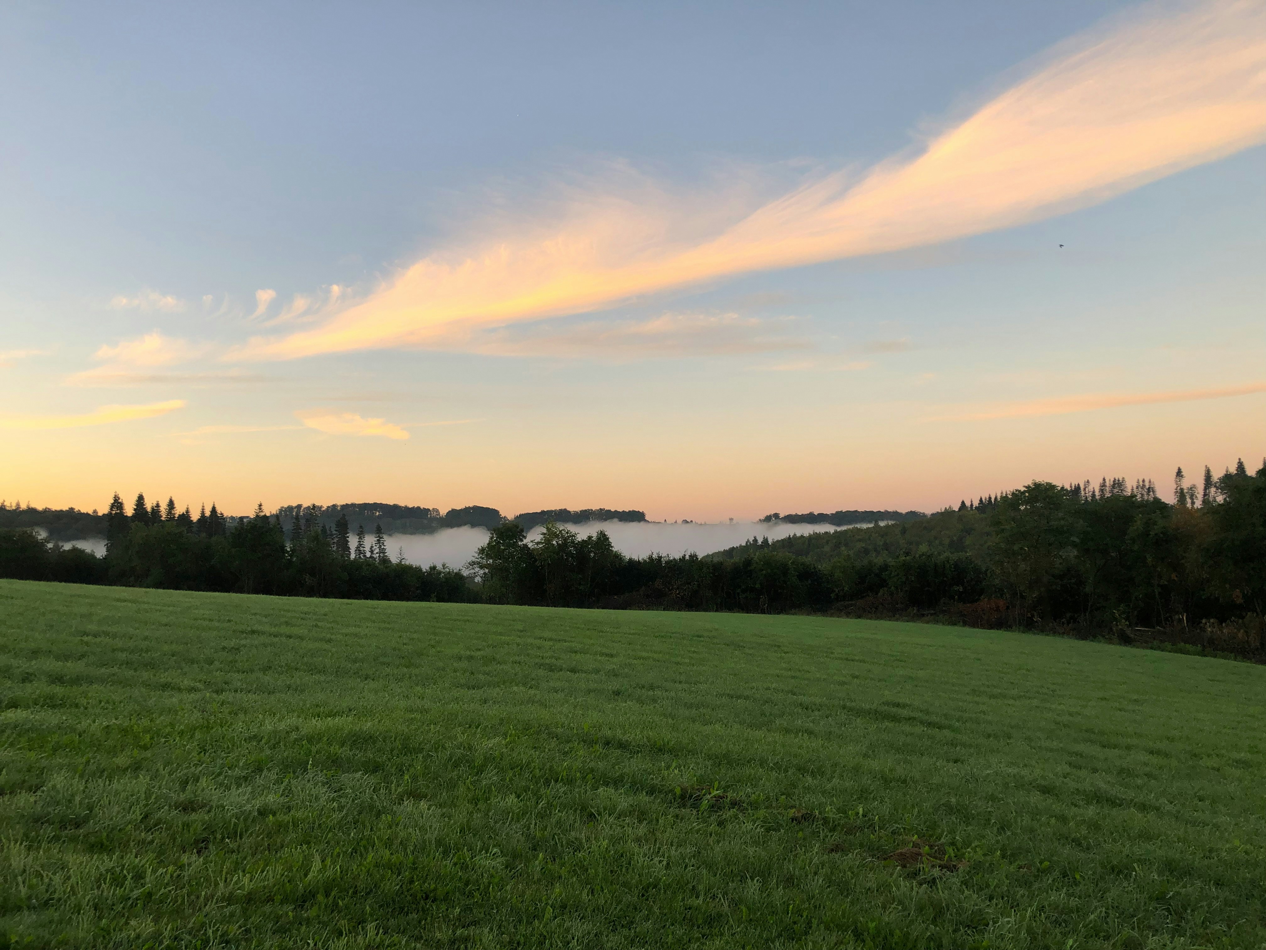 Photo by hawkins2023