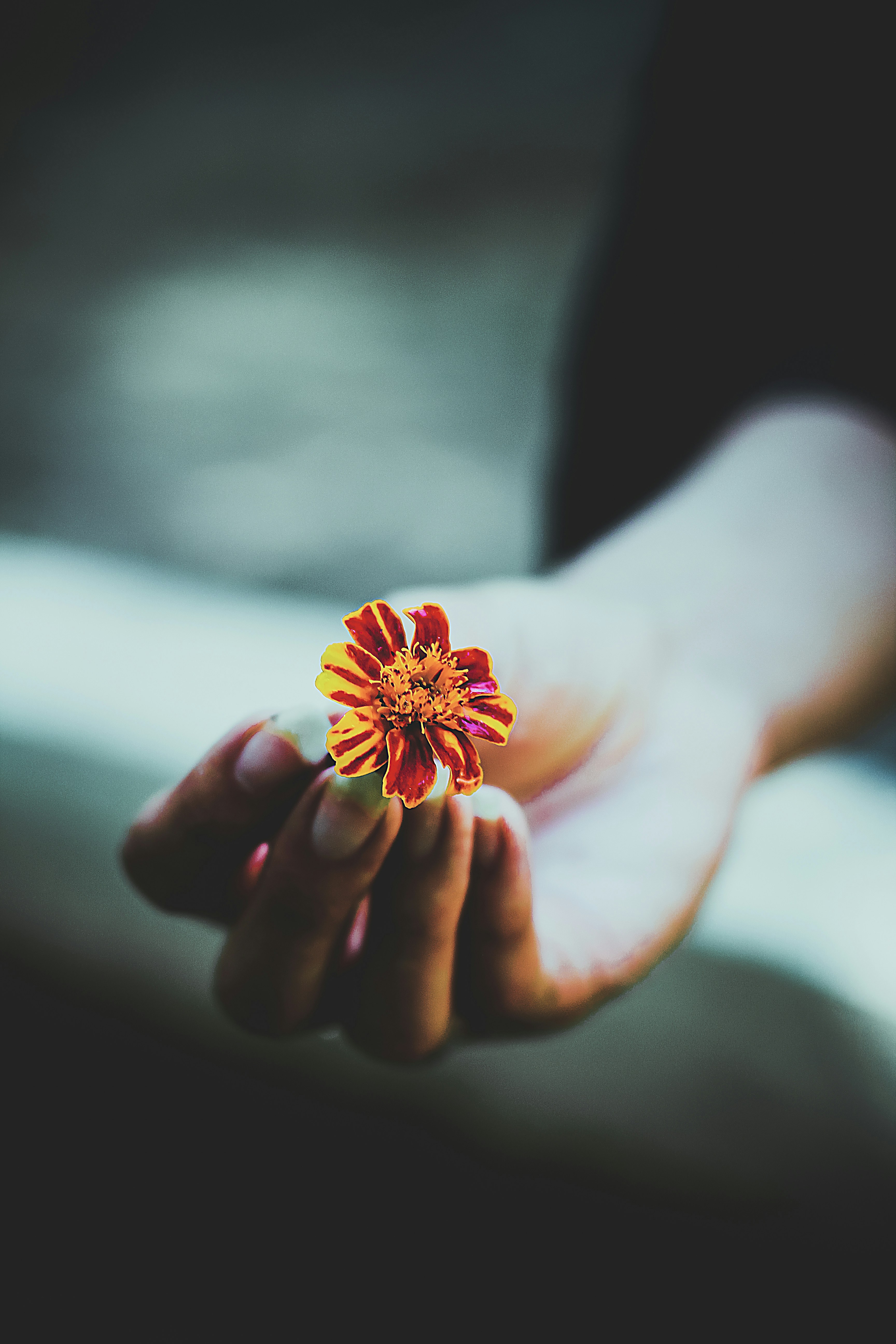 Photo by hossein_hosseini