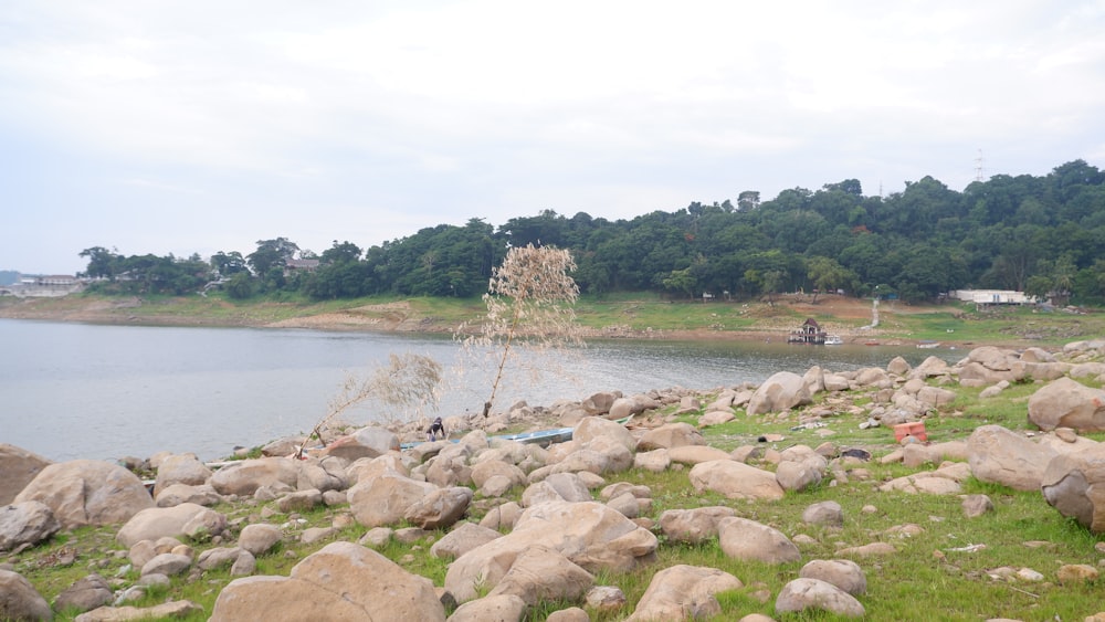 a large body of water surrounded by rocks