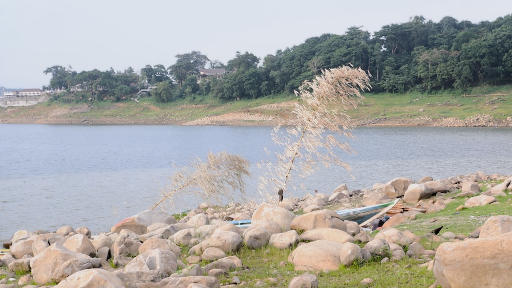 a body of water surrounded by rocks and grass