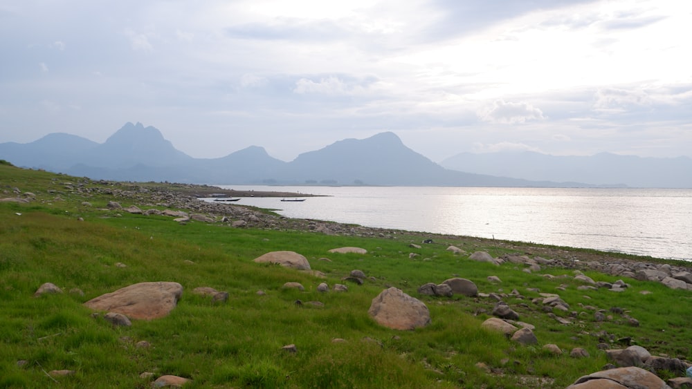 a grassy field next to a body of water