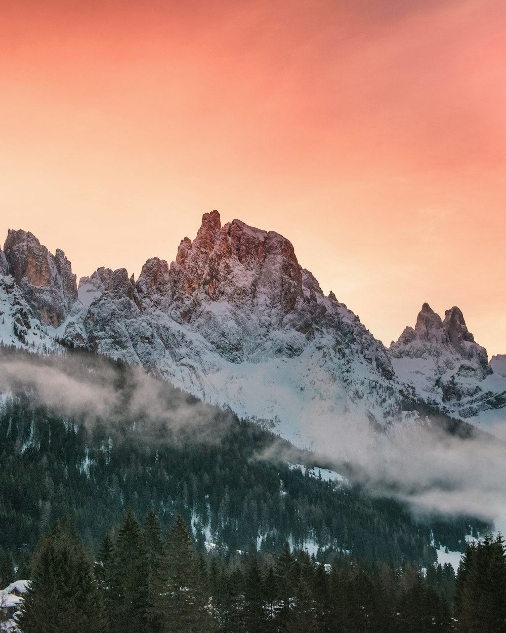 a mountain covered in snow with trees in the foreground