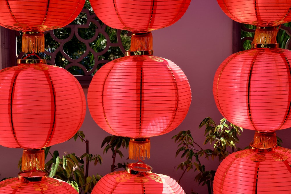 a group of red lanterns hanging from a ceiling