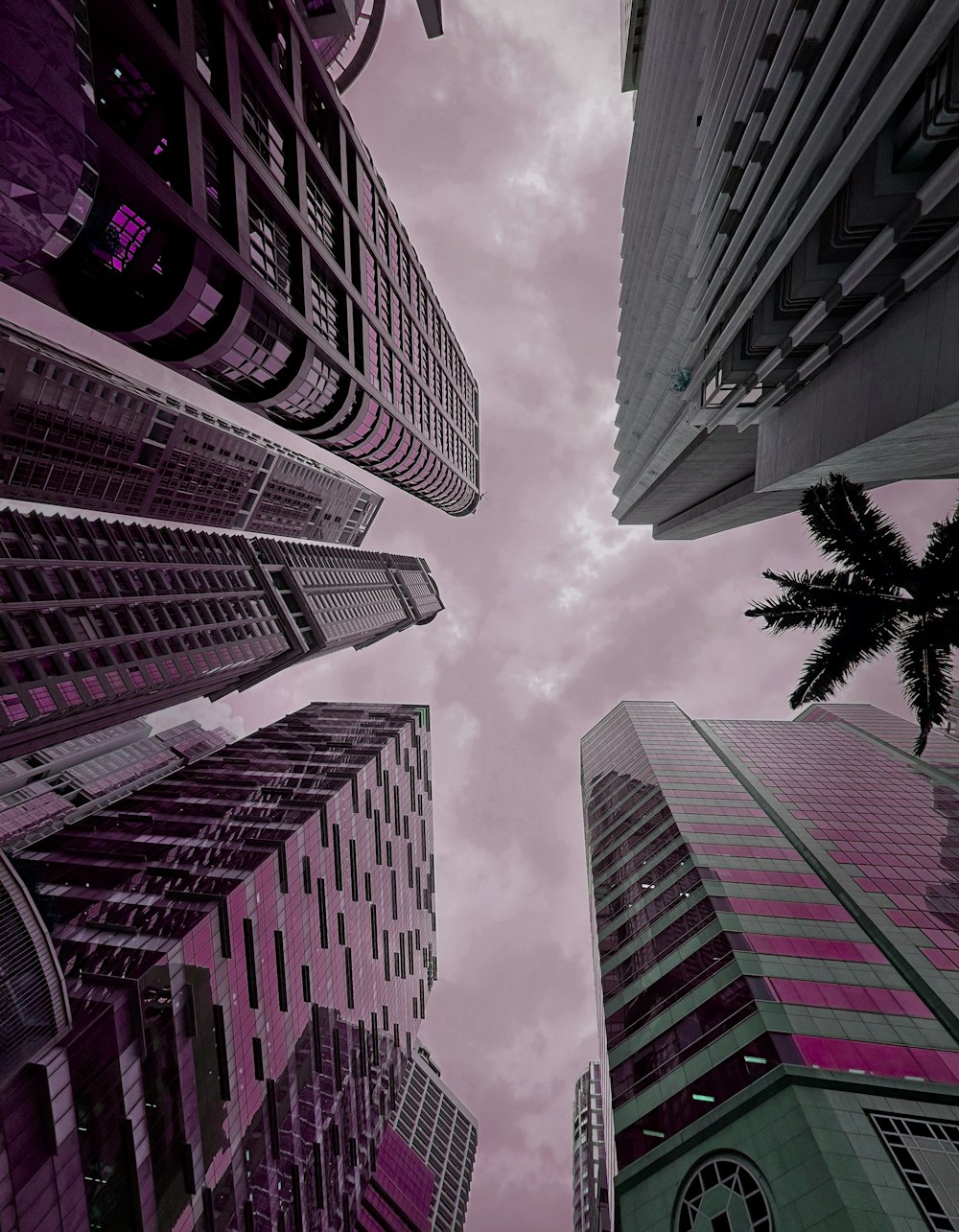 looking up at tall buildings in a city