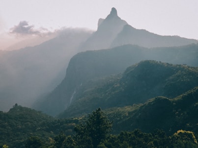 a view of a mountain range with trees in the foreground