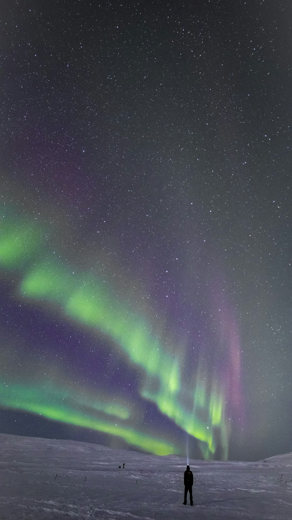 a man standing in the snow under a green and purple aurora bore