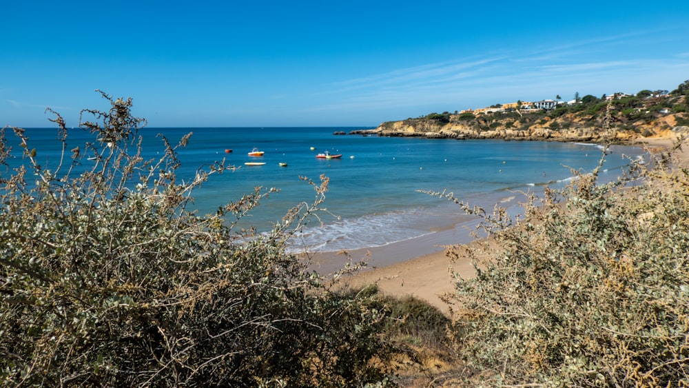 a view of a beach with boats in the water