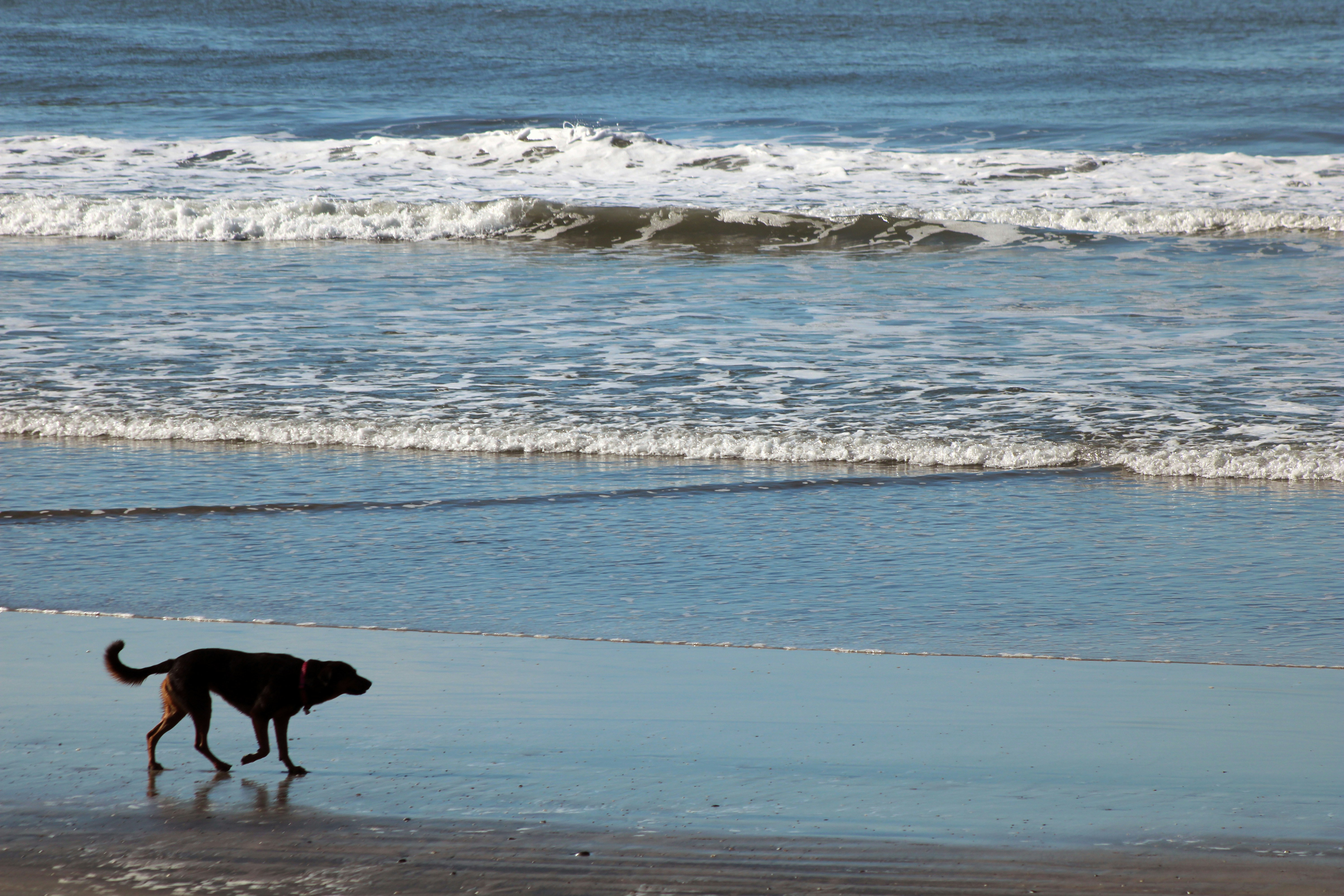 Photo by whimsyfoxphotography