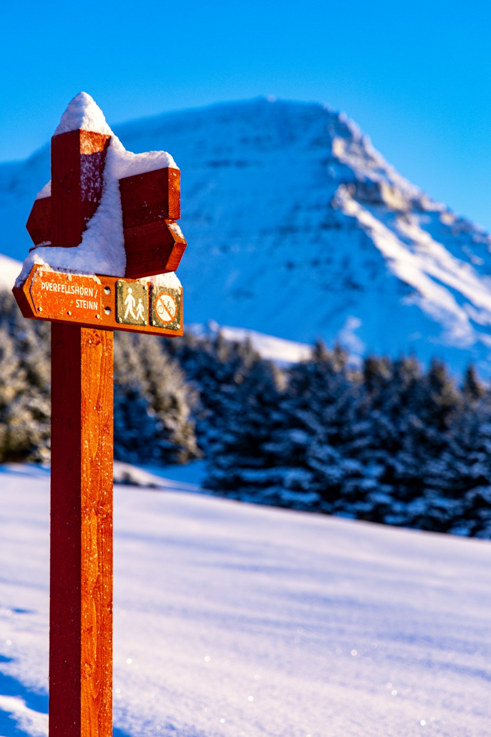 a wooden pole with a sign on top of it in the snow