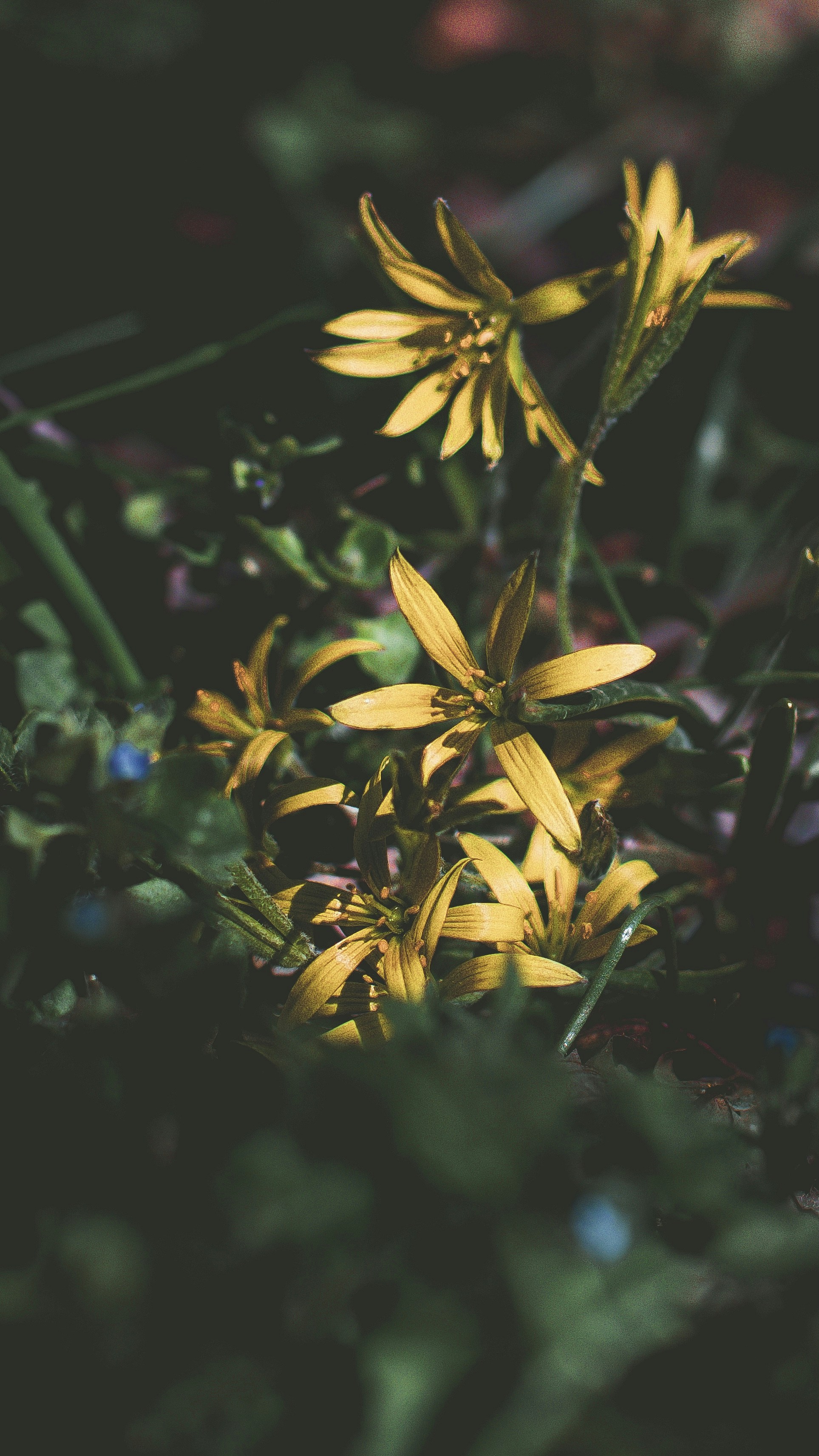 Photo by hossein_hosseini