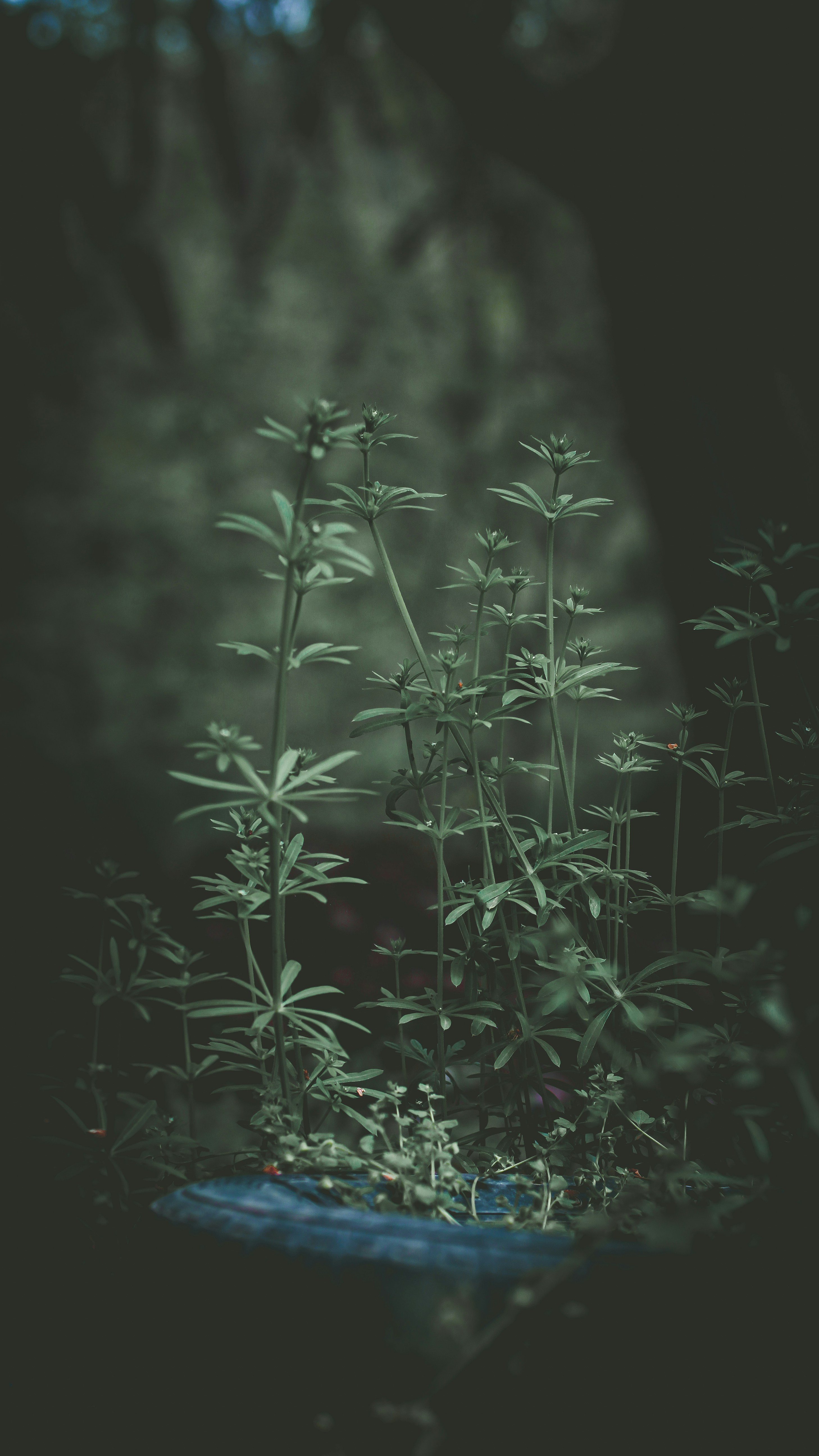 Photo by hossein_hosseini