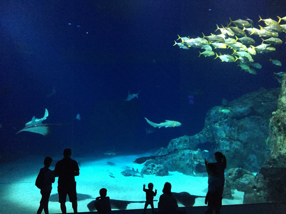 a group of people standing in front of a fish tank