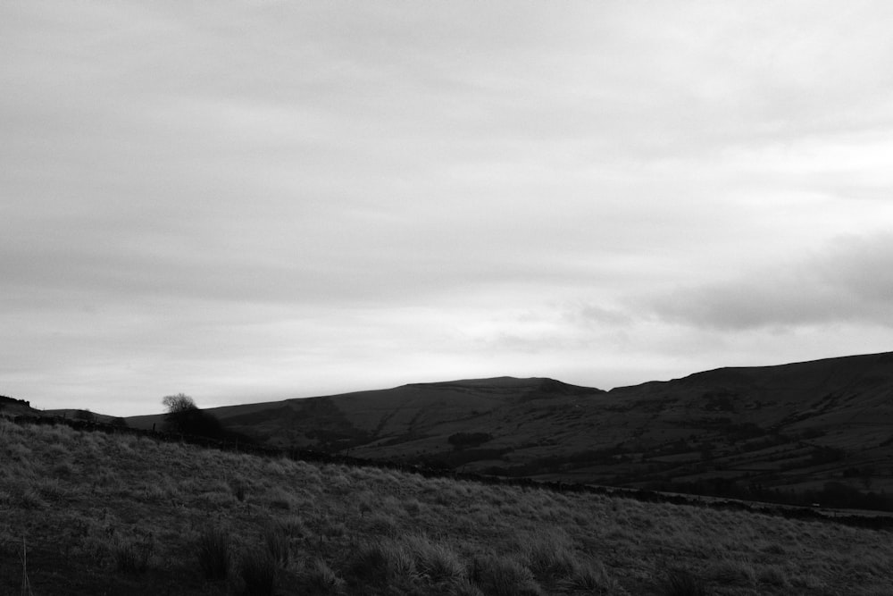 uma foto em preto e branco de uma colina gramada