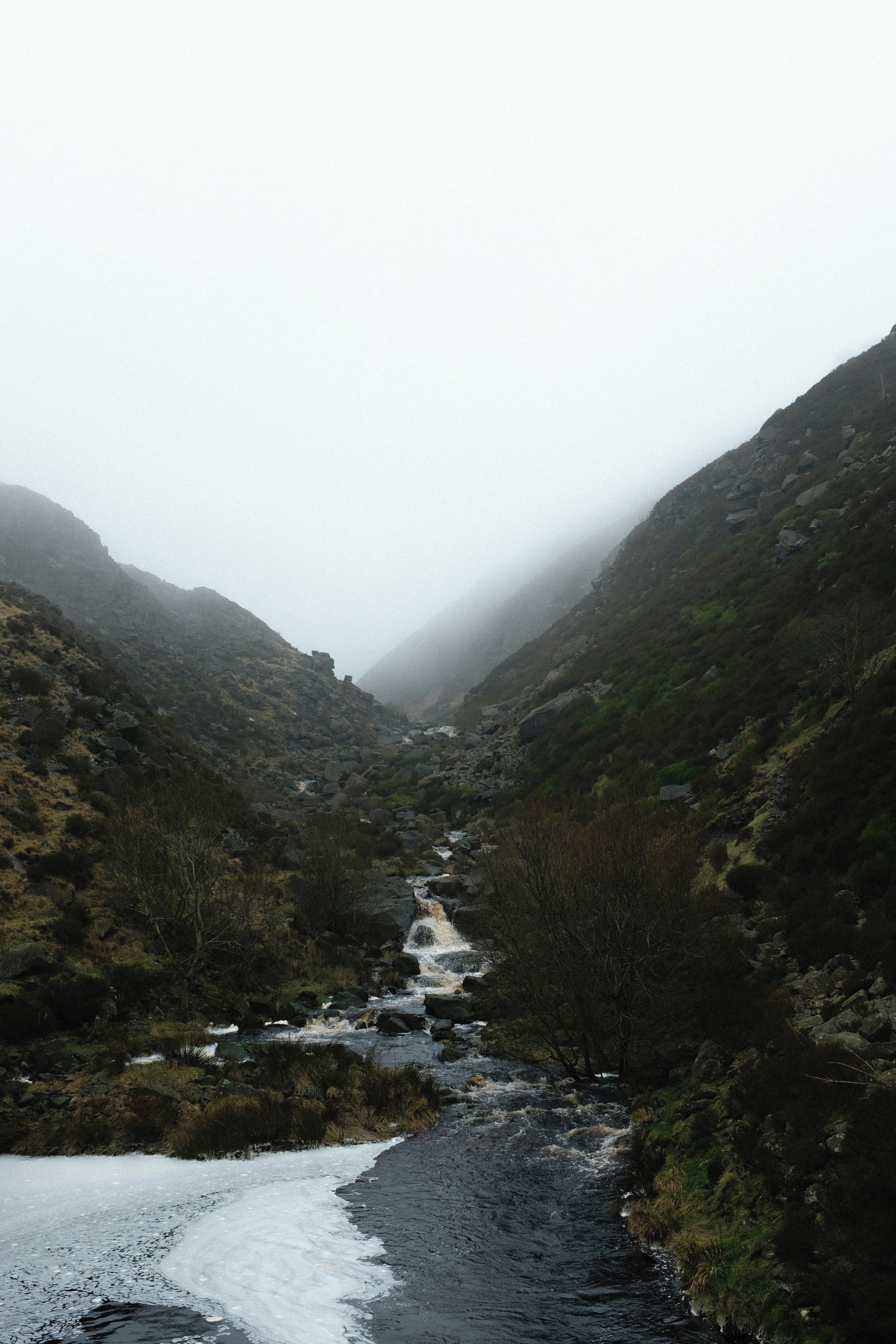 Photo by jack_gibson