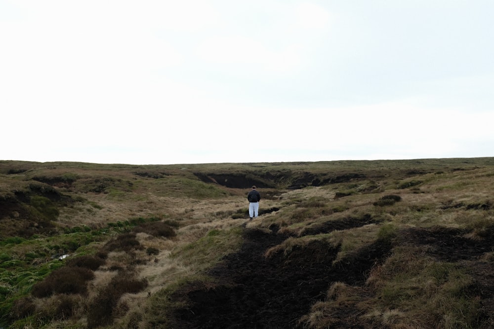 a person standing in a field with a kite