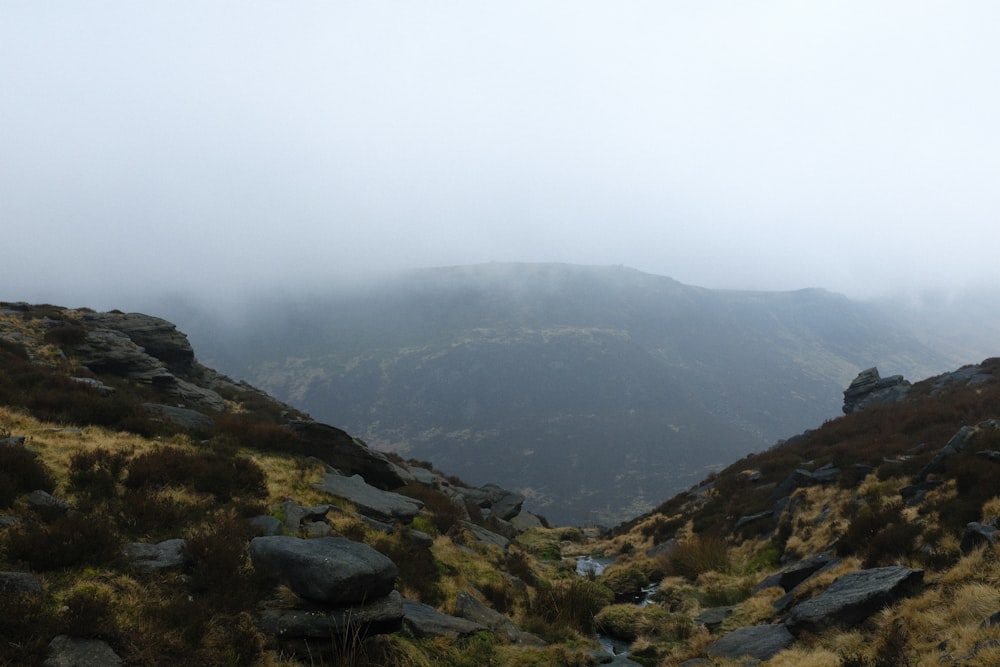 a view of a mountain with a stream running through it