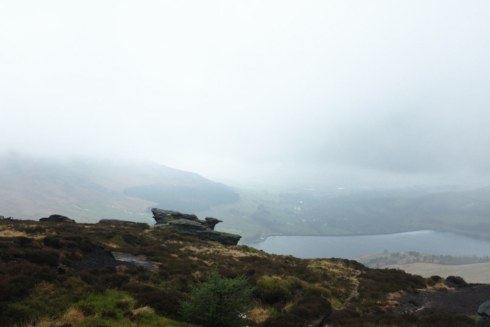una pecora solitaria in piedi su una collina erbosa