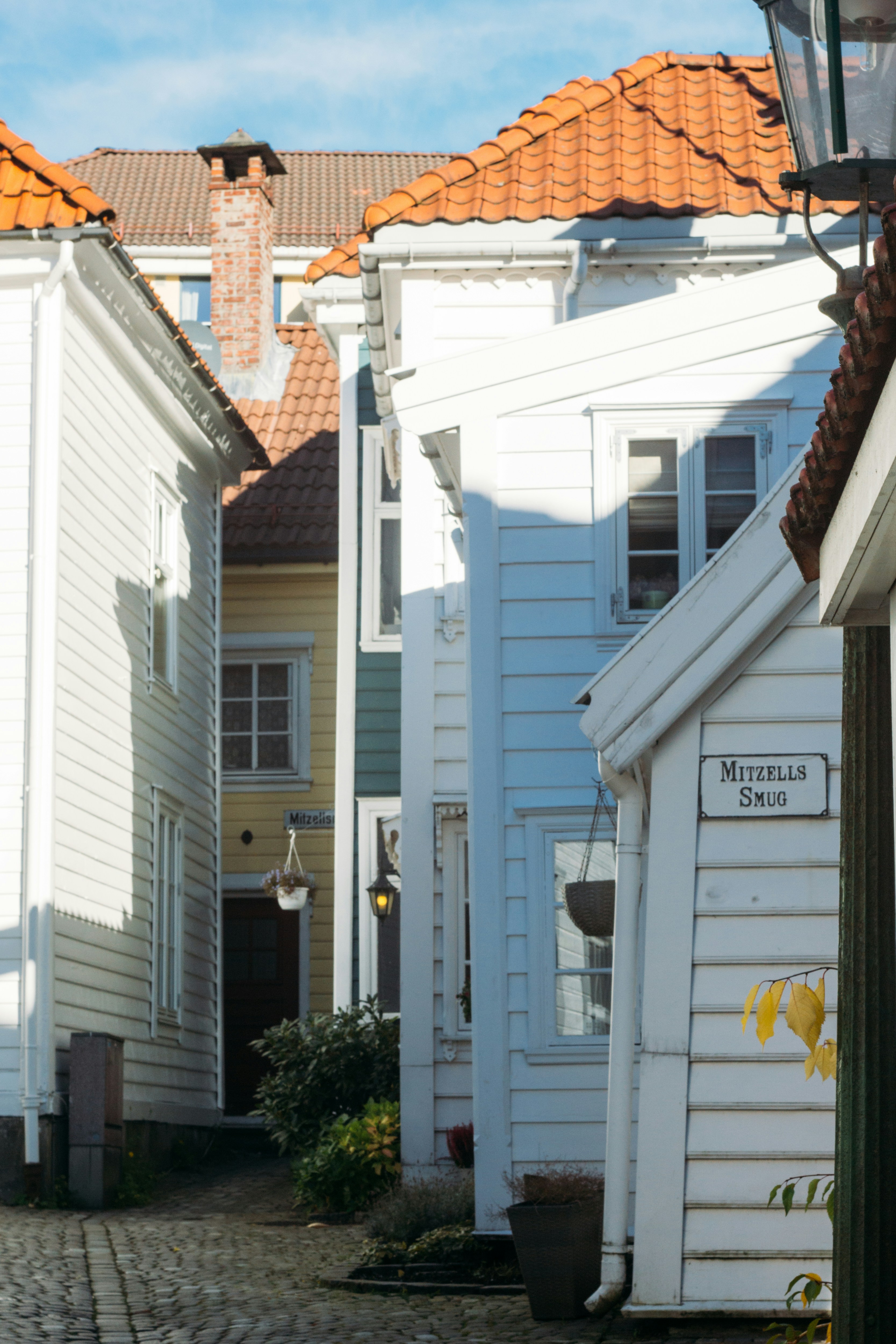 Photo by gloriaviktoriia