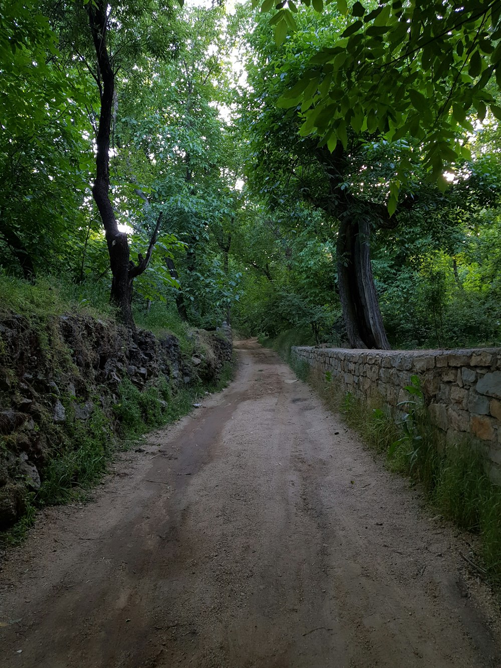 a dirt road surrounded by trees and a stone wall