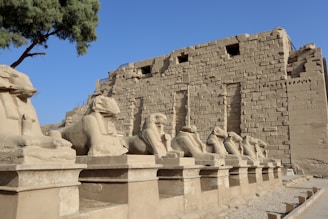 a row of sphinx statues in front of a stone wall