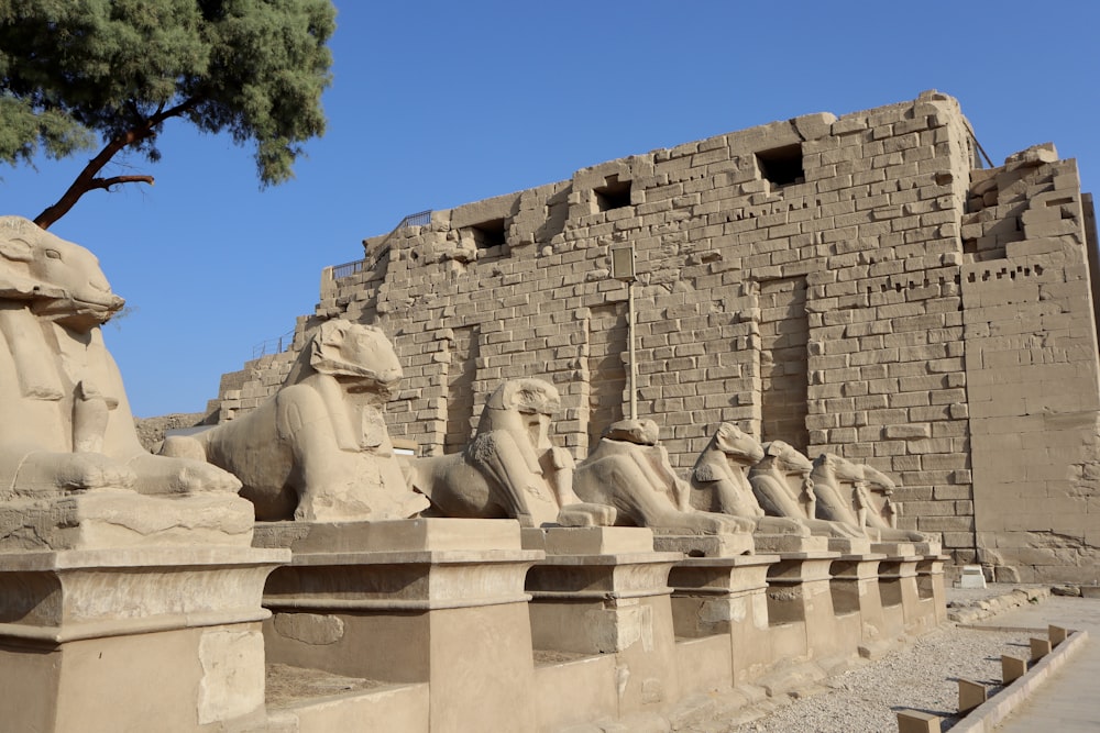 a row of sphinx statues in front of a stone wall